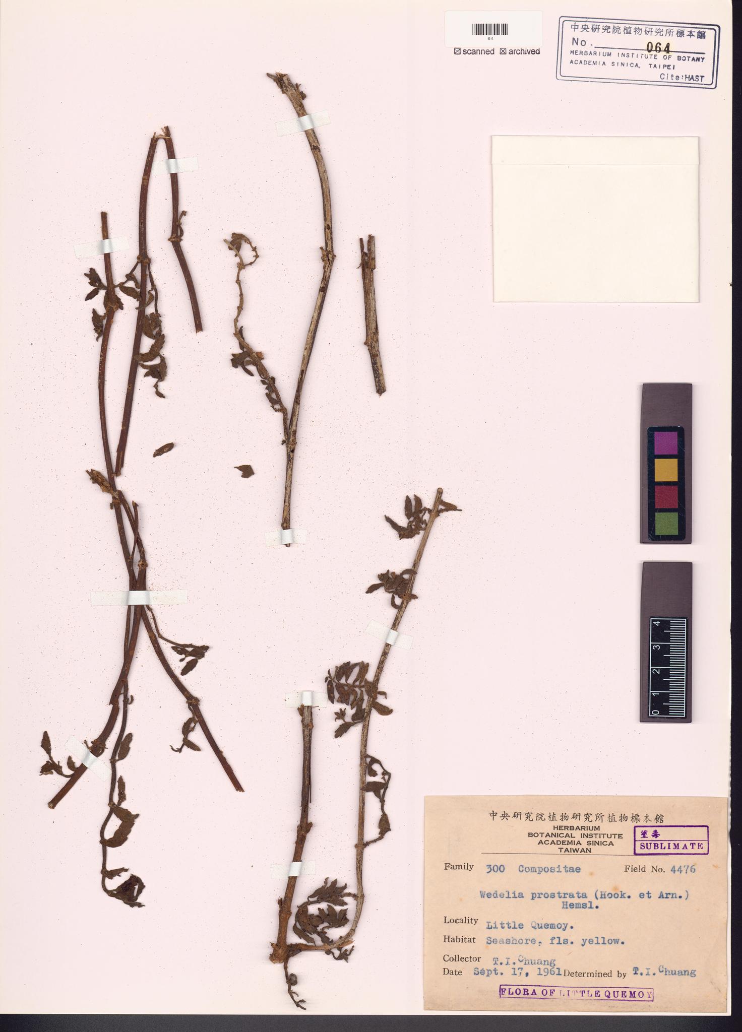 Specimen image