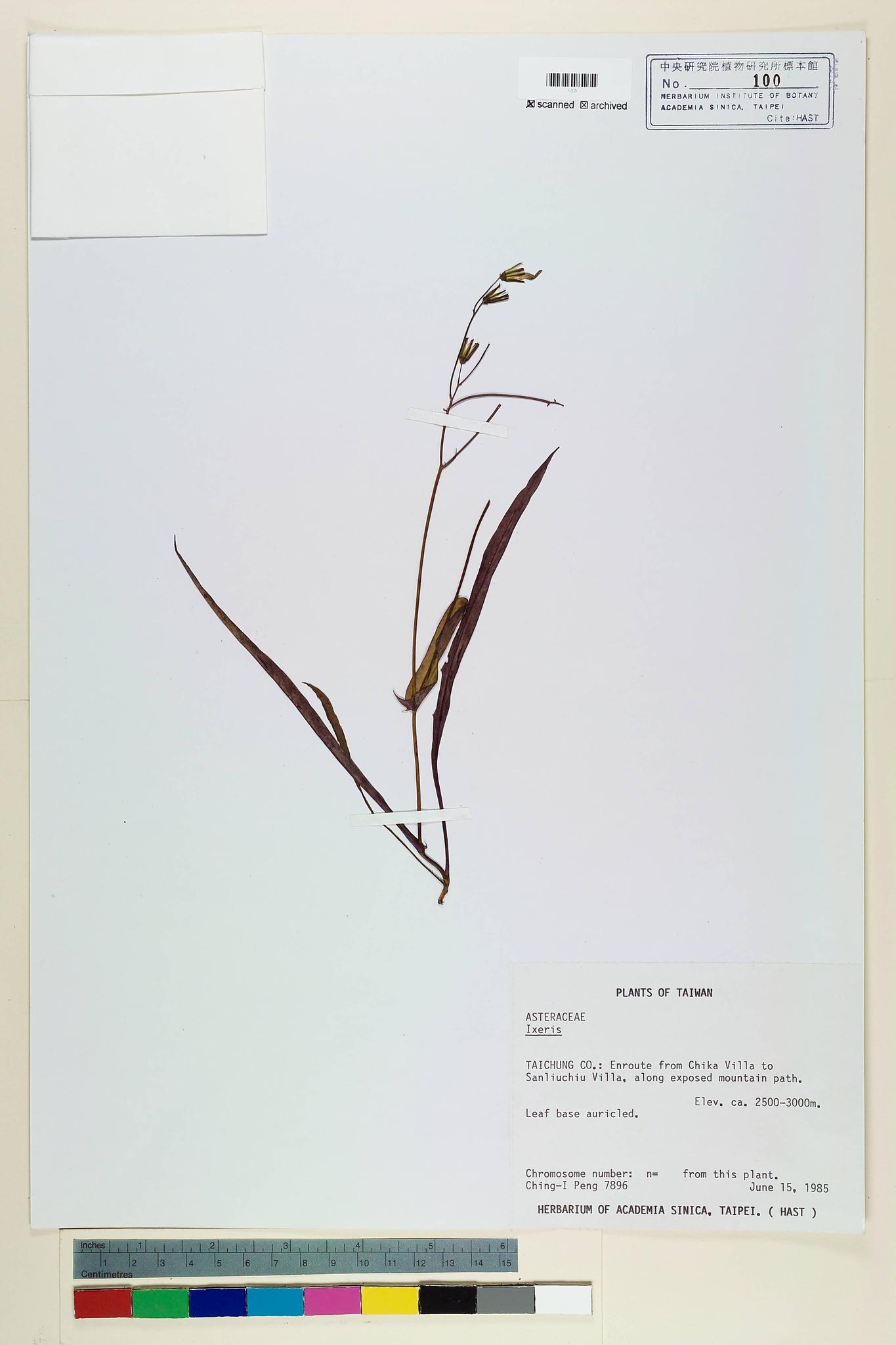 Specimen image