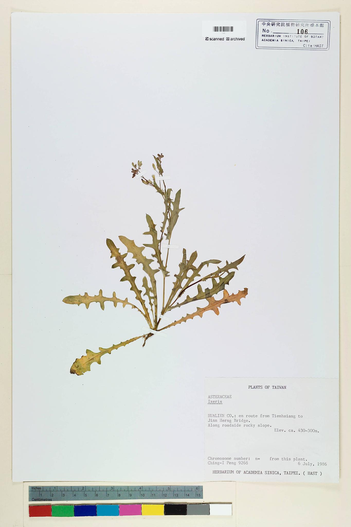 Specimen image