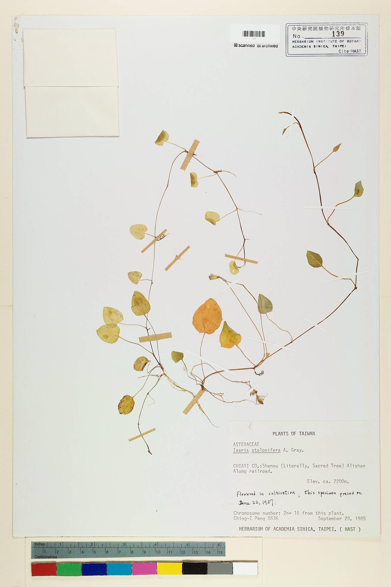 Specimen image