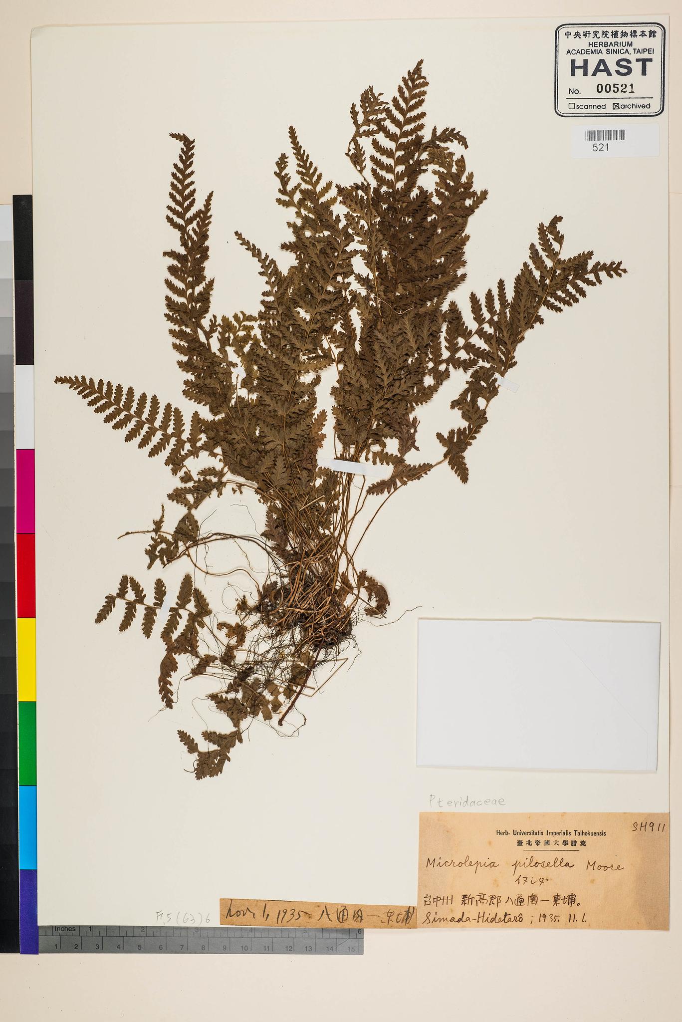Specimen image