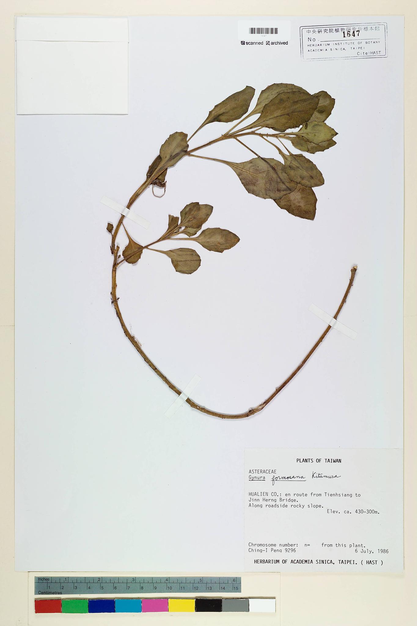 Sample image for viewer