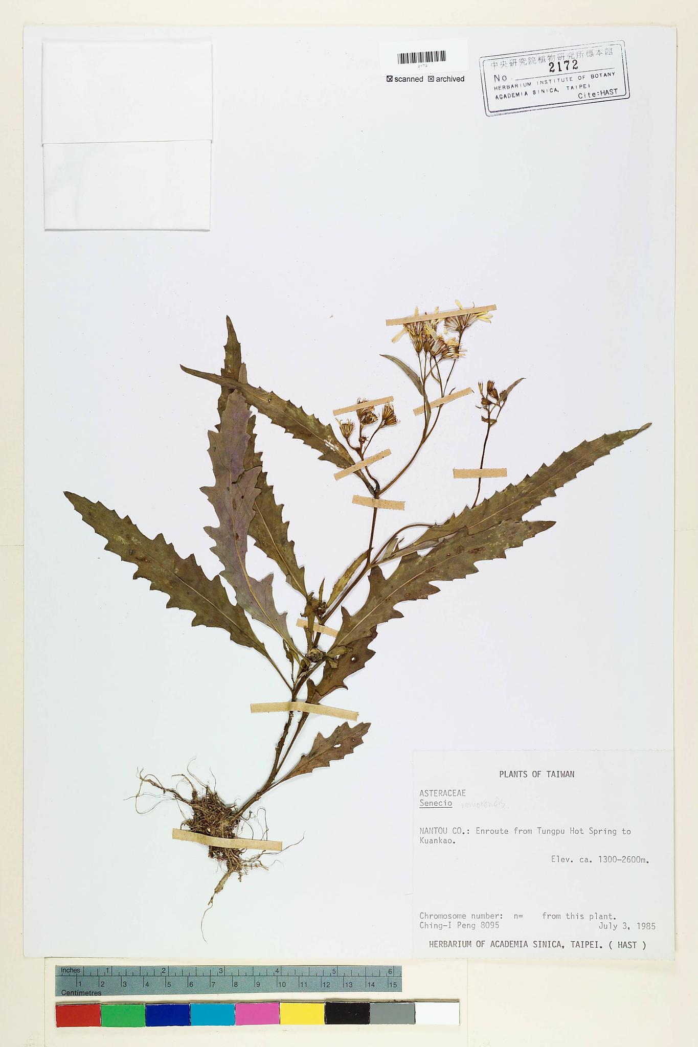 Sample image for viewer