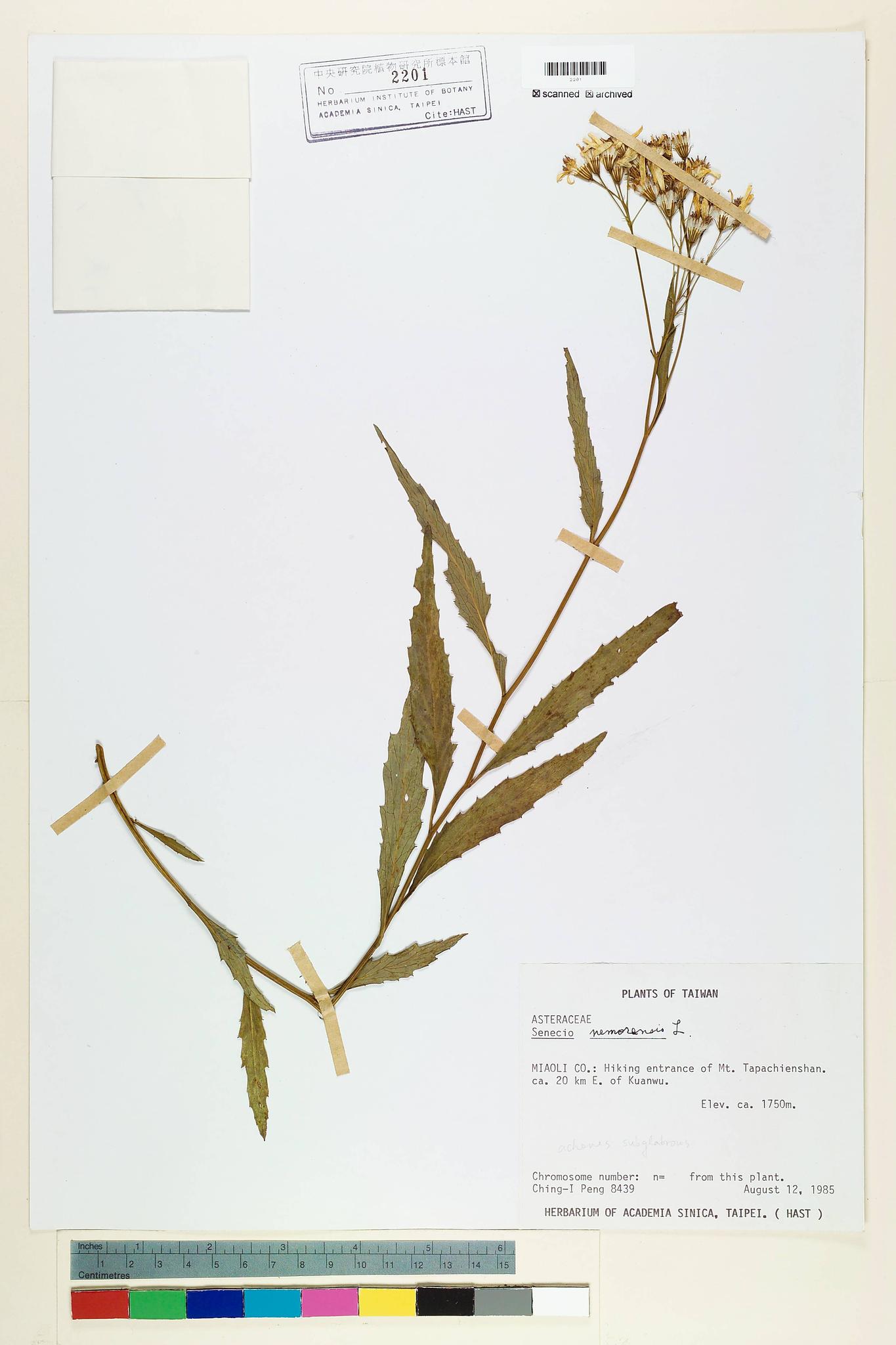 Sample image for viewer