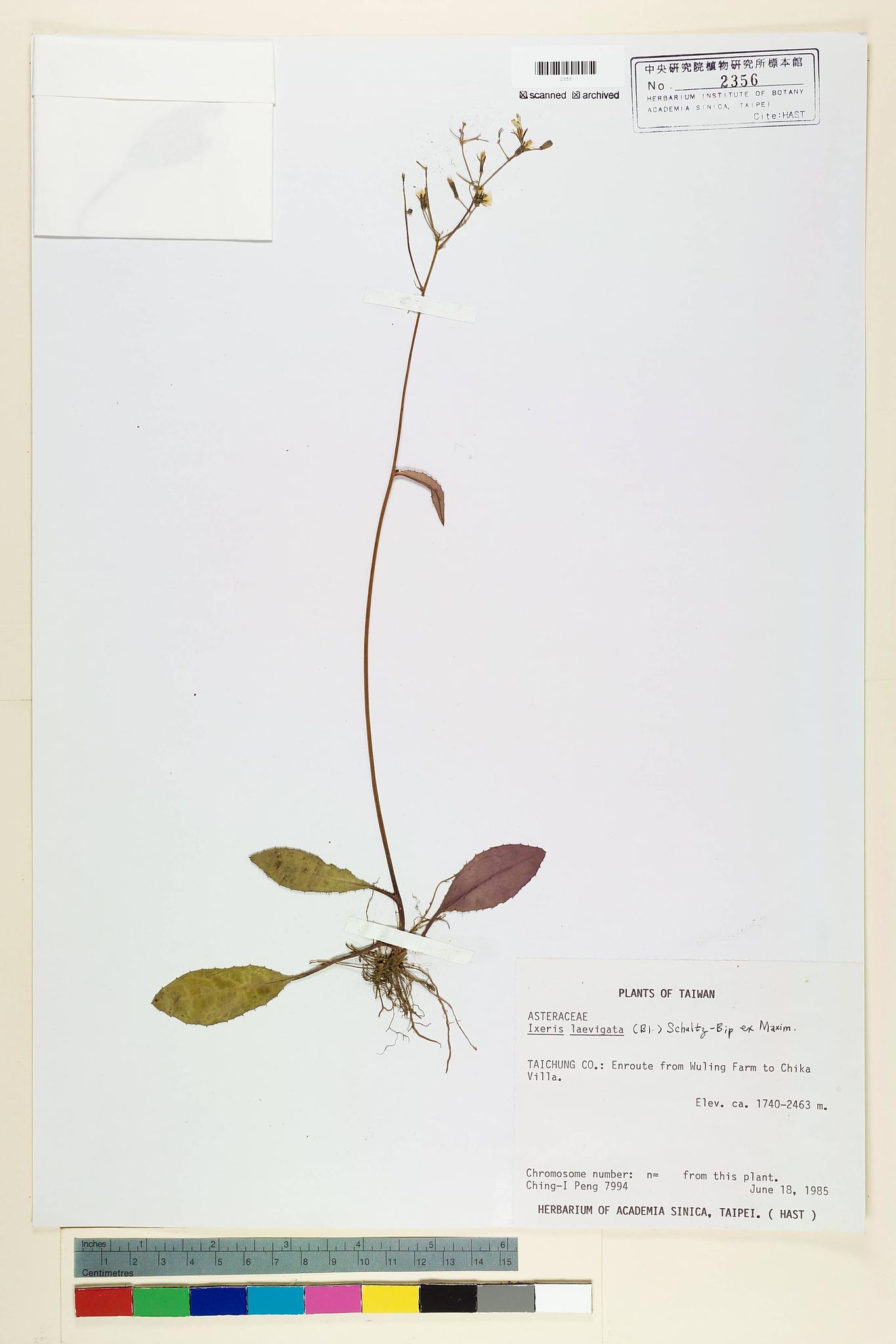 Specimen image