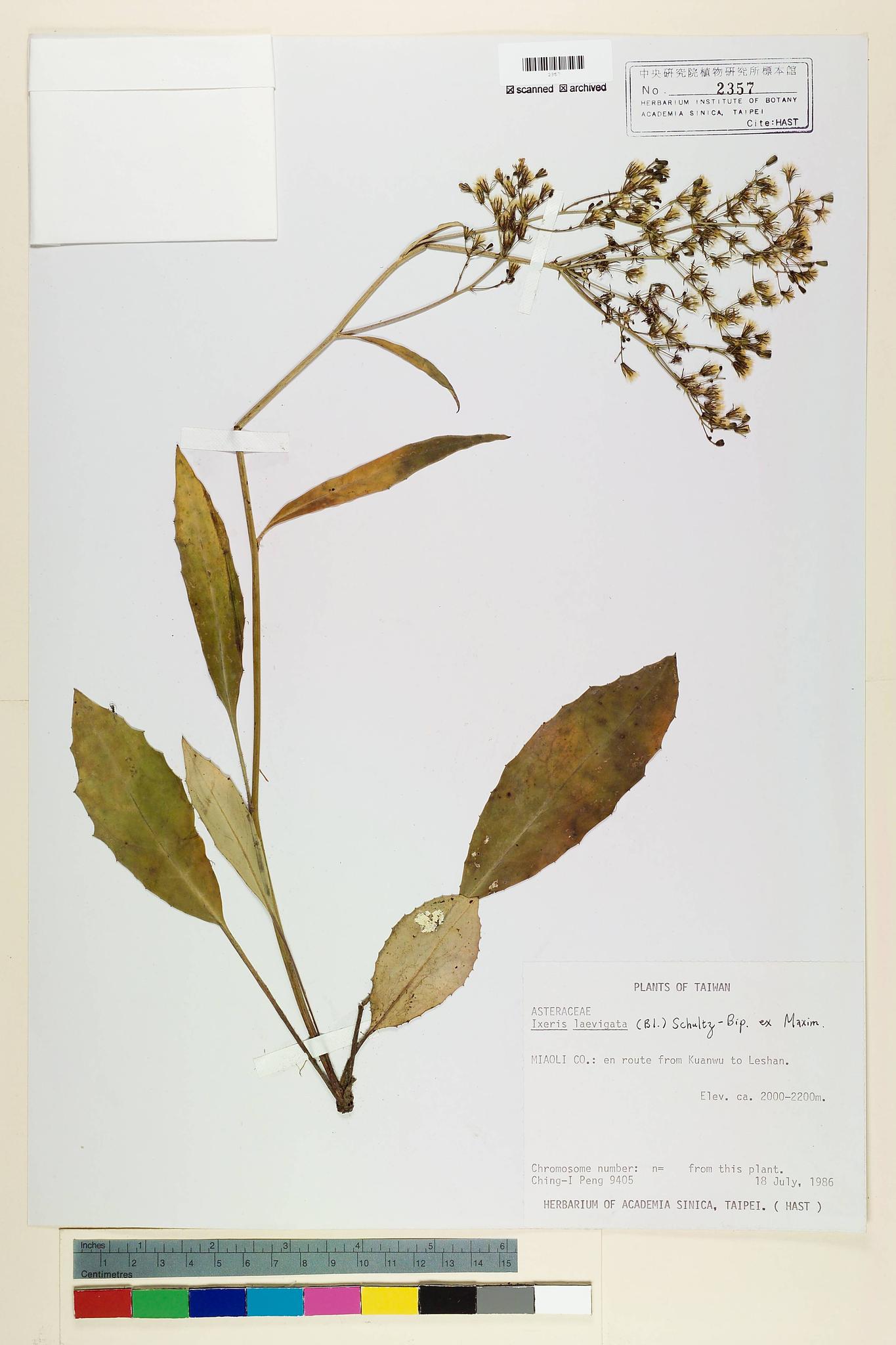 Specimen image
