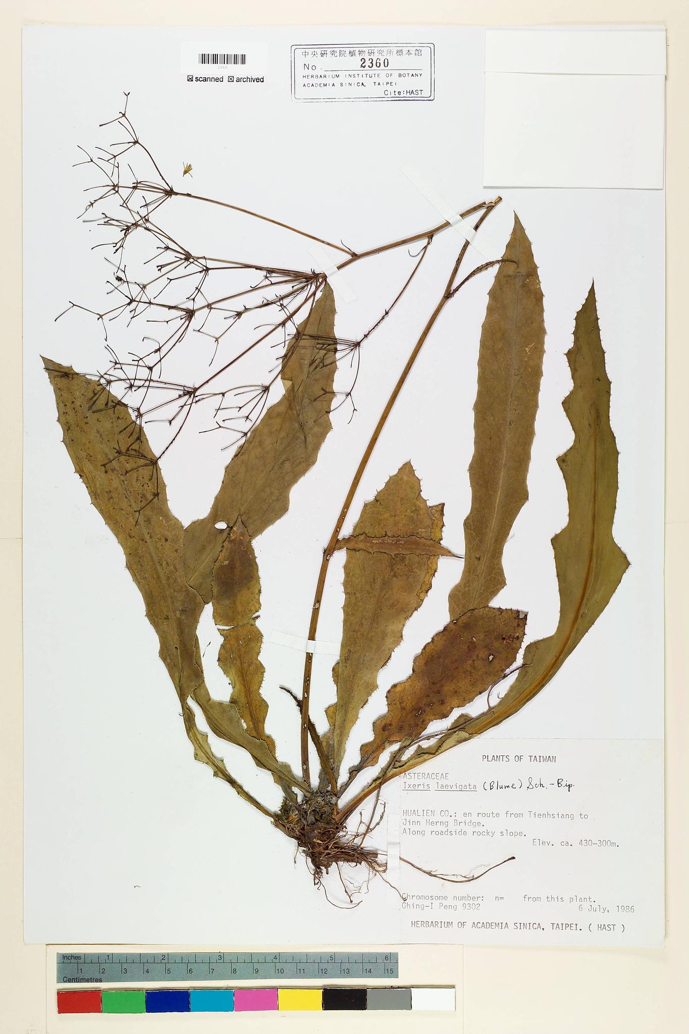 Specimen image
