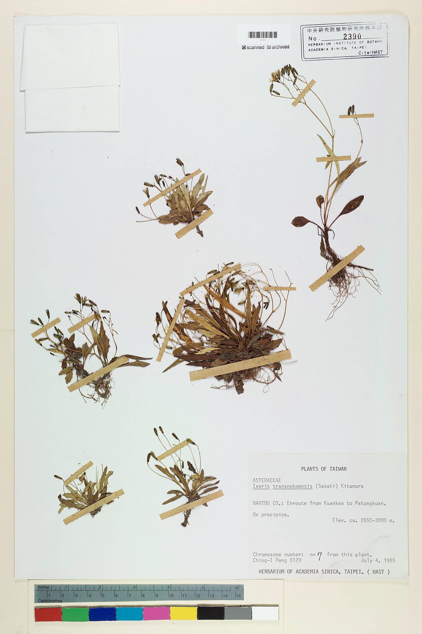 Specimen image