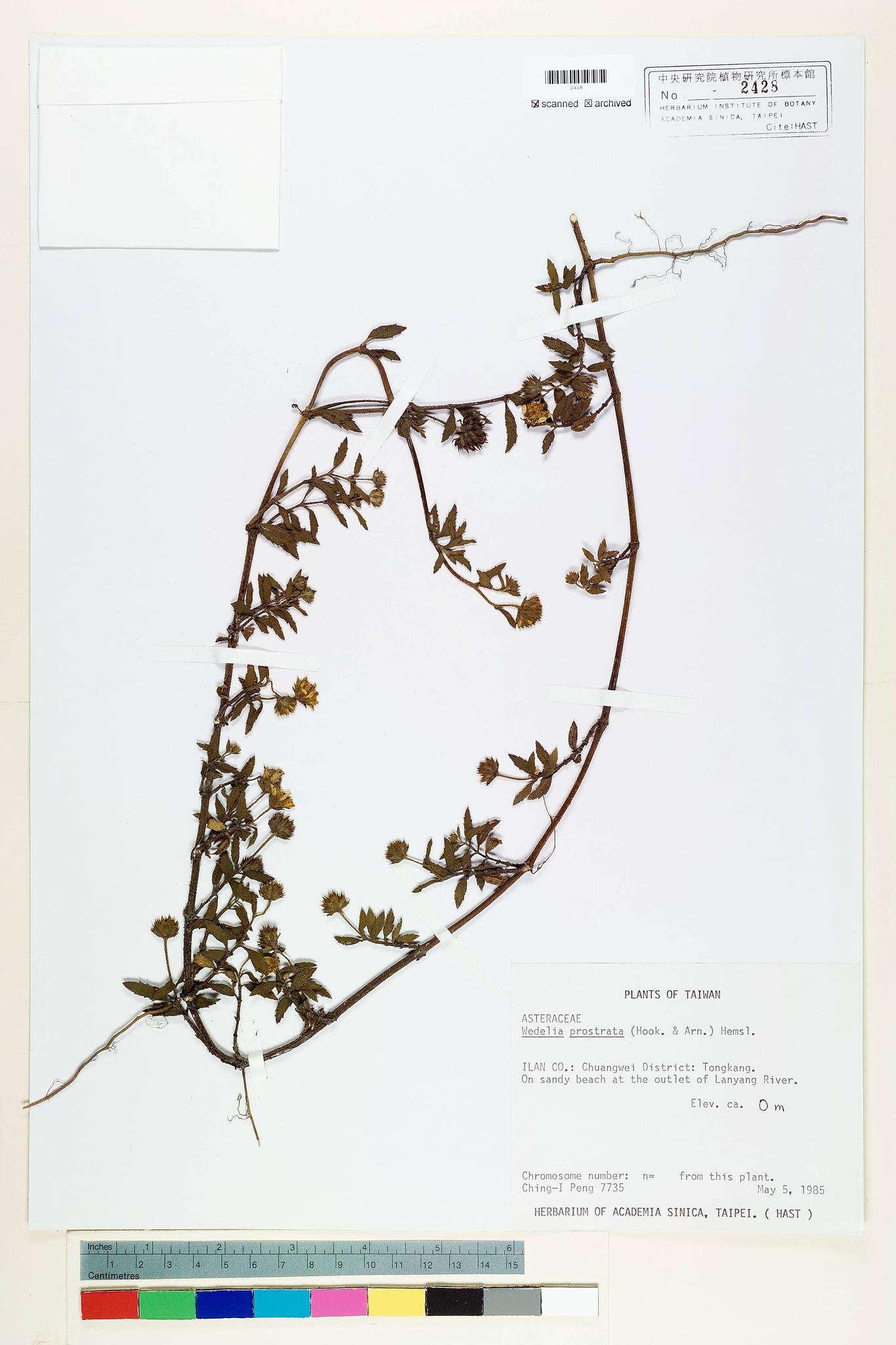 Specimen image