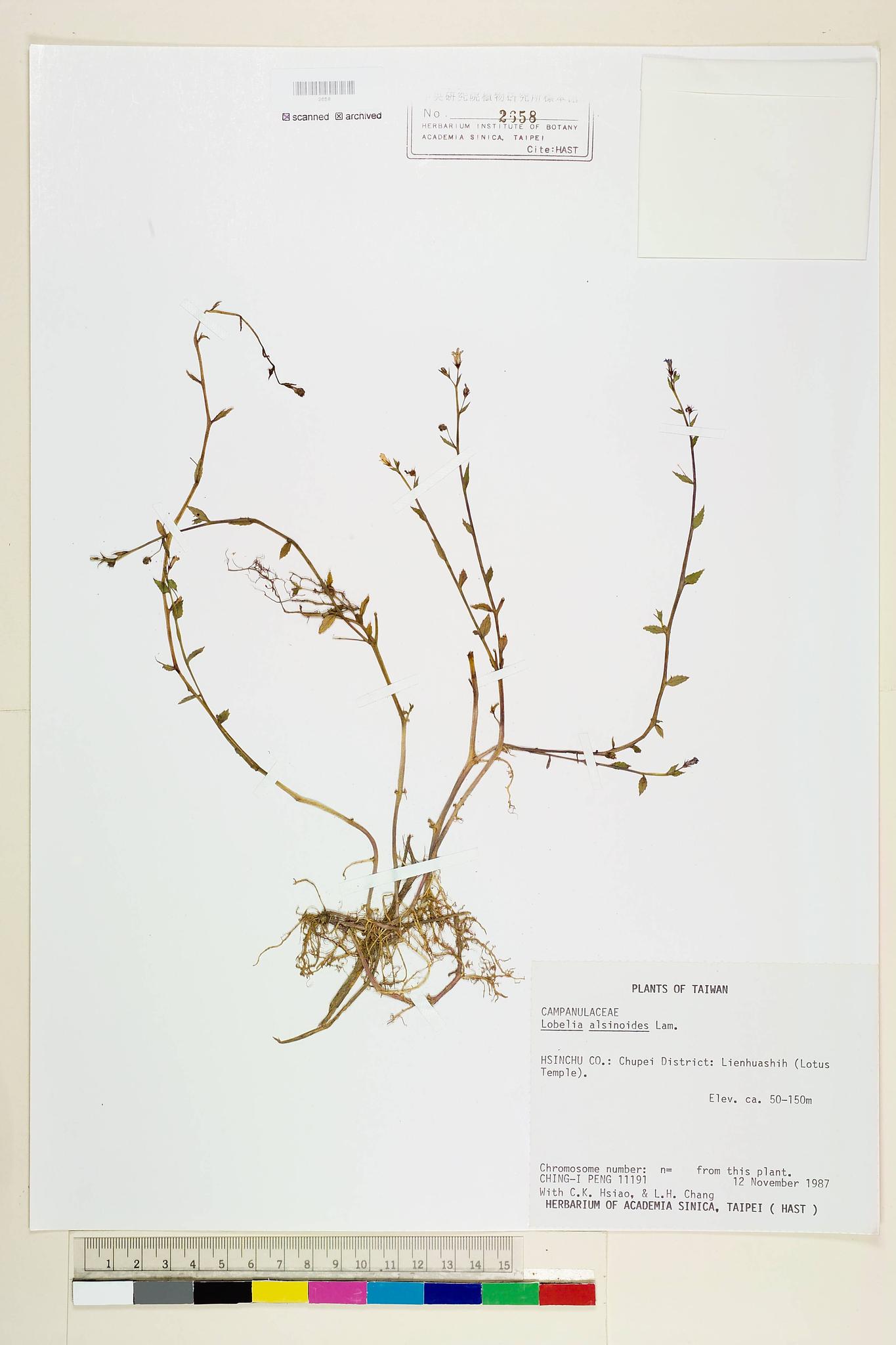 Sample image for viewer