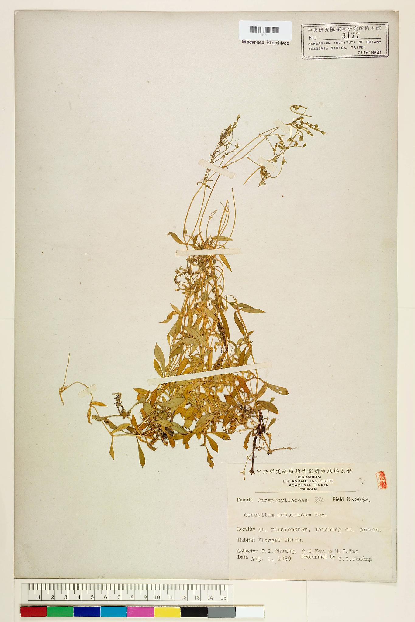 Sample image for viewer