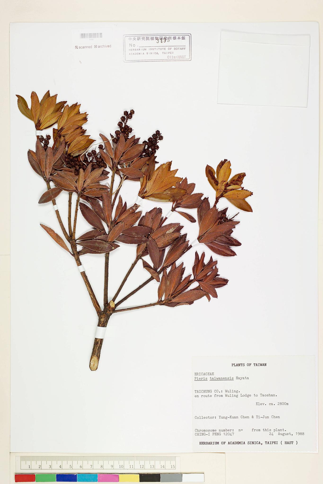 Sample image for viewer