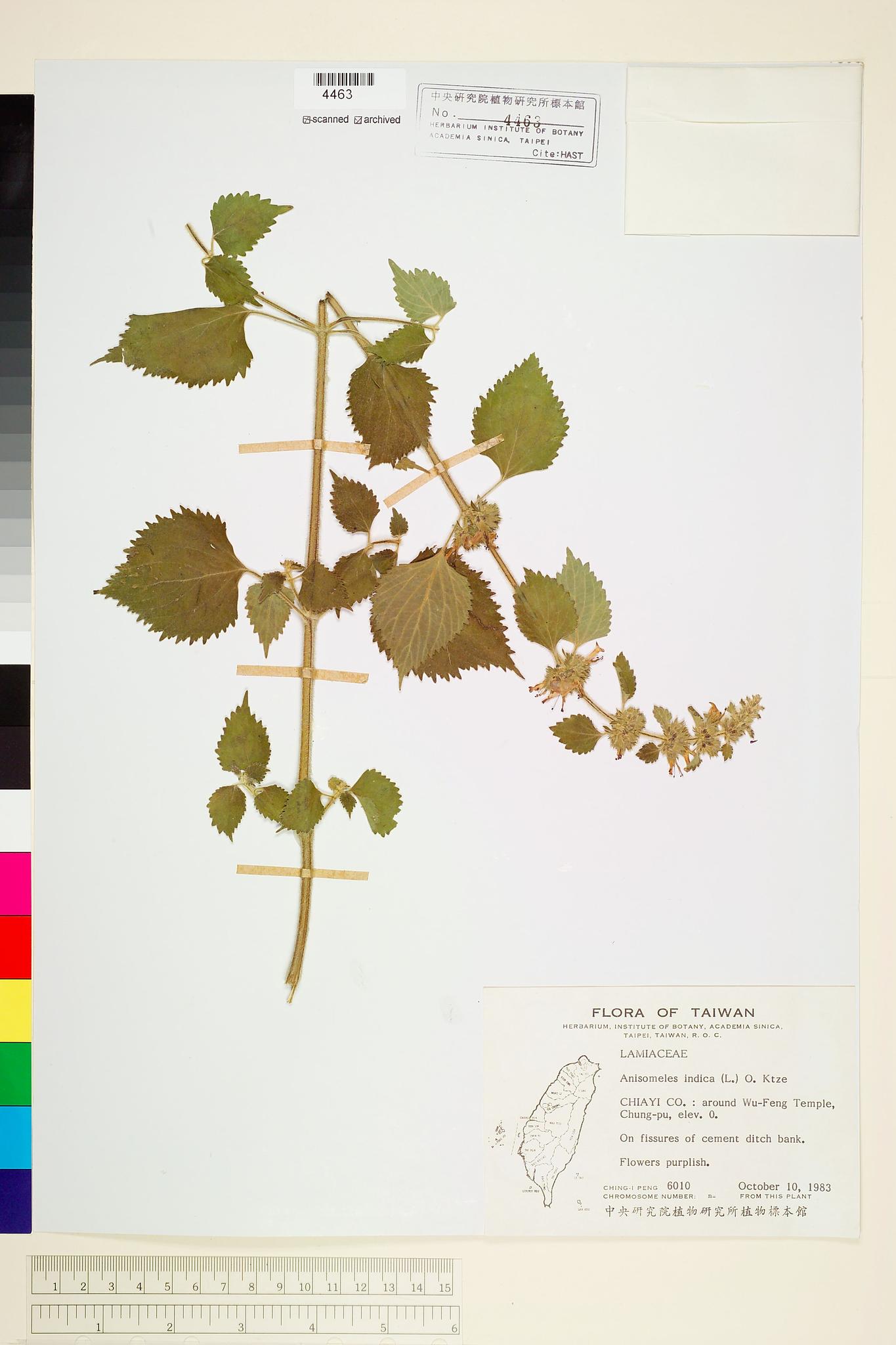 Sample image for viewer