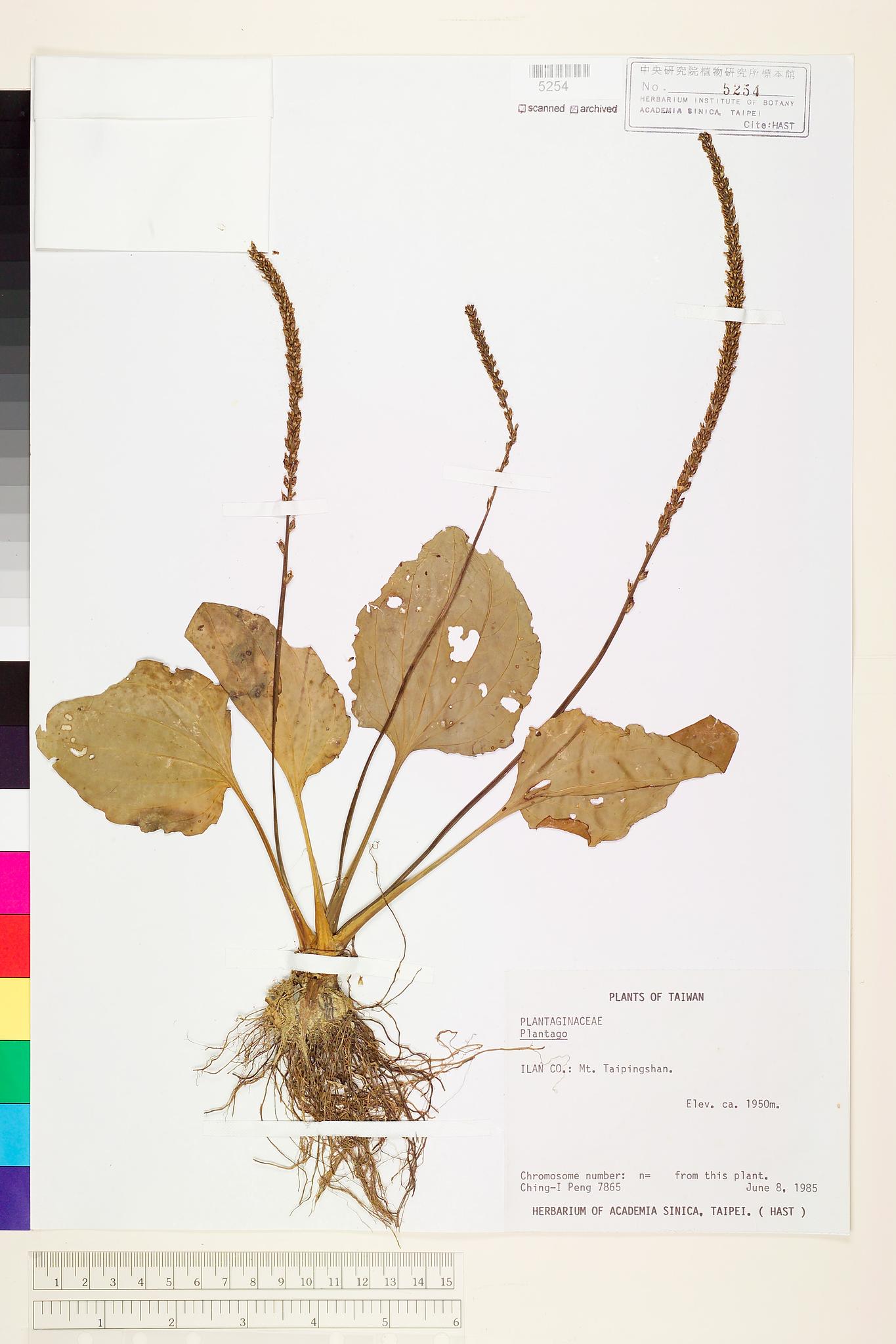 Sample image for viewer