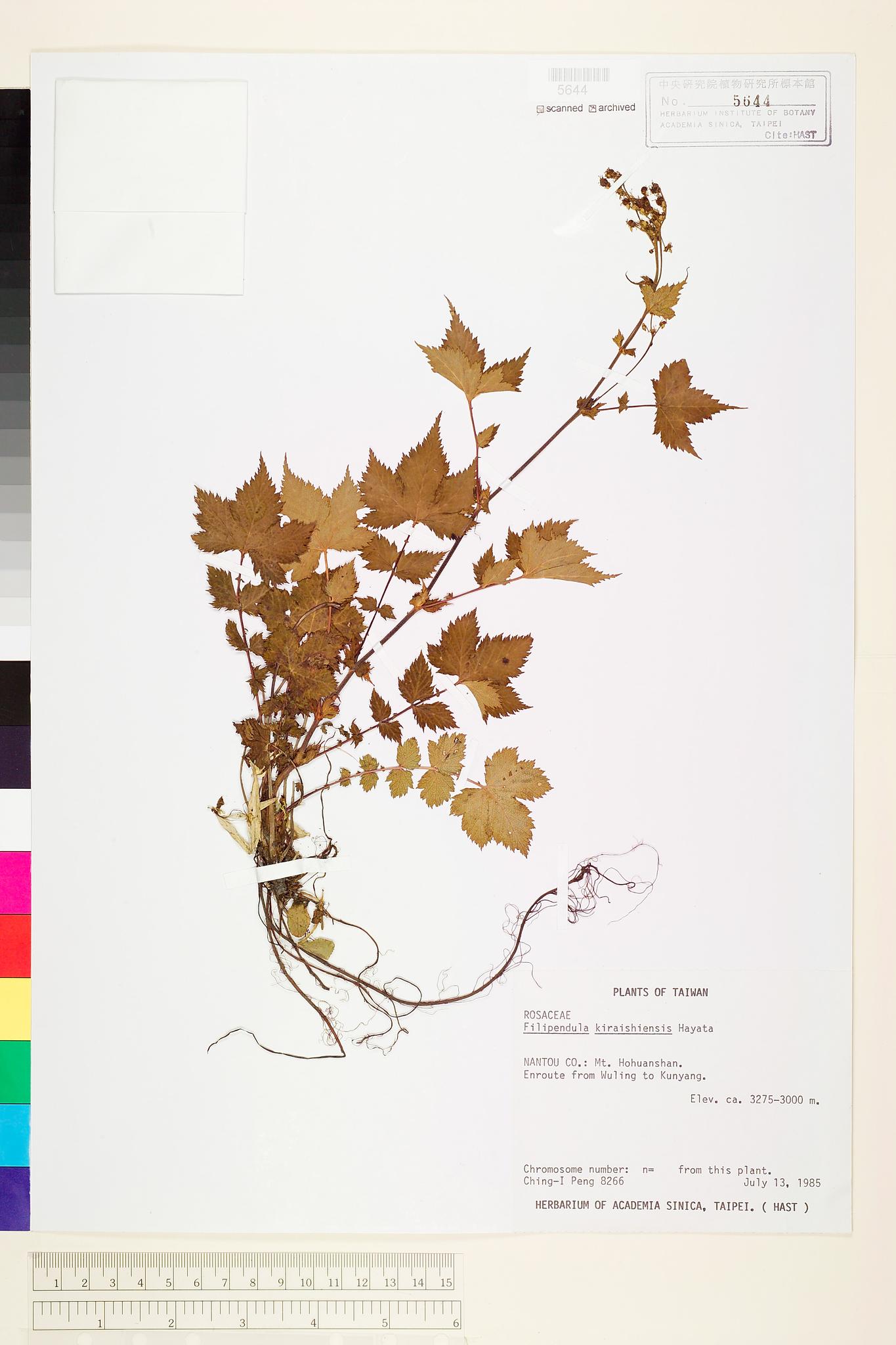 Sample image for viewer