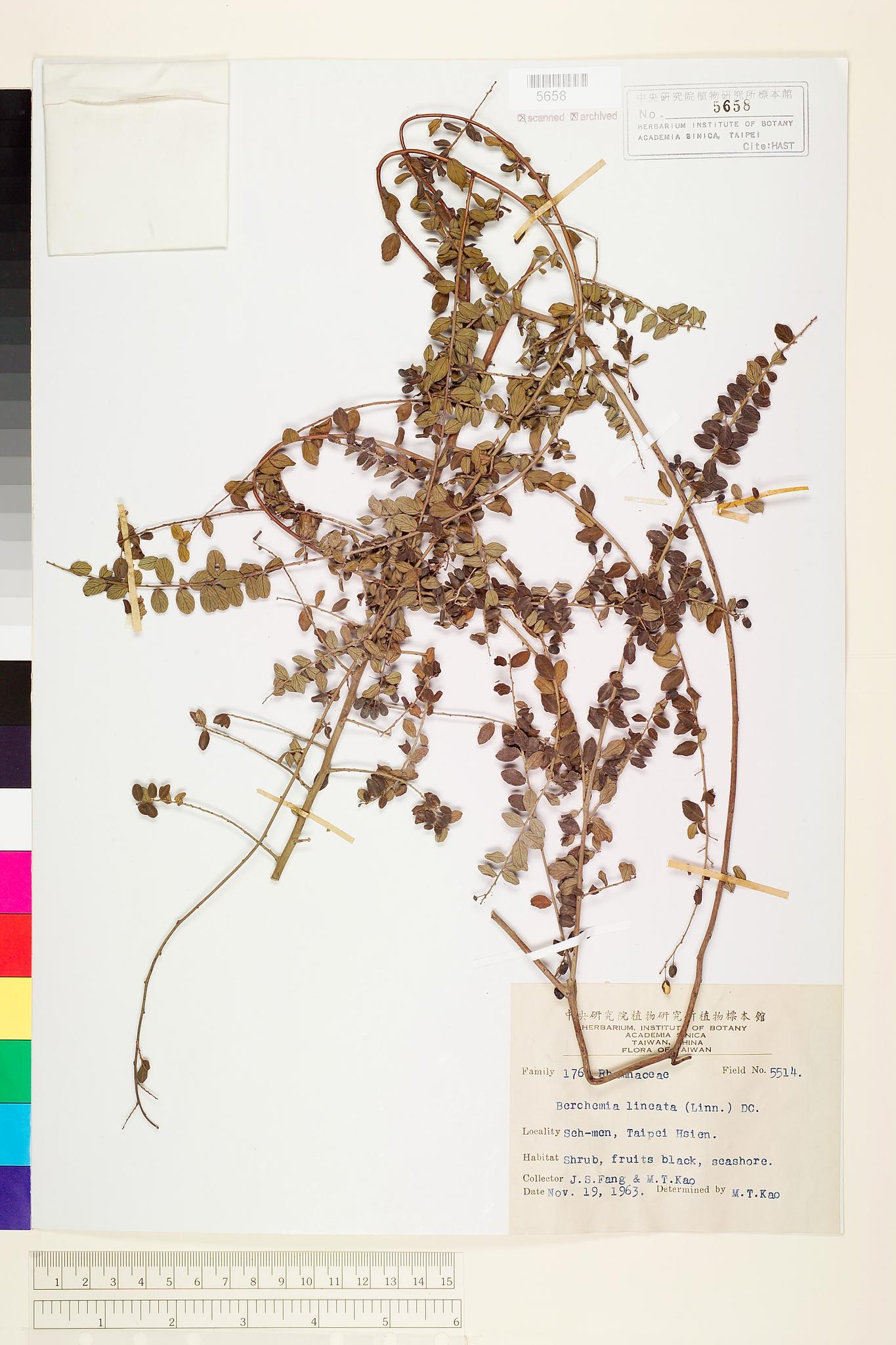 Sample image for viewer