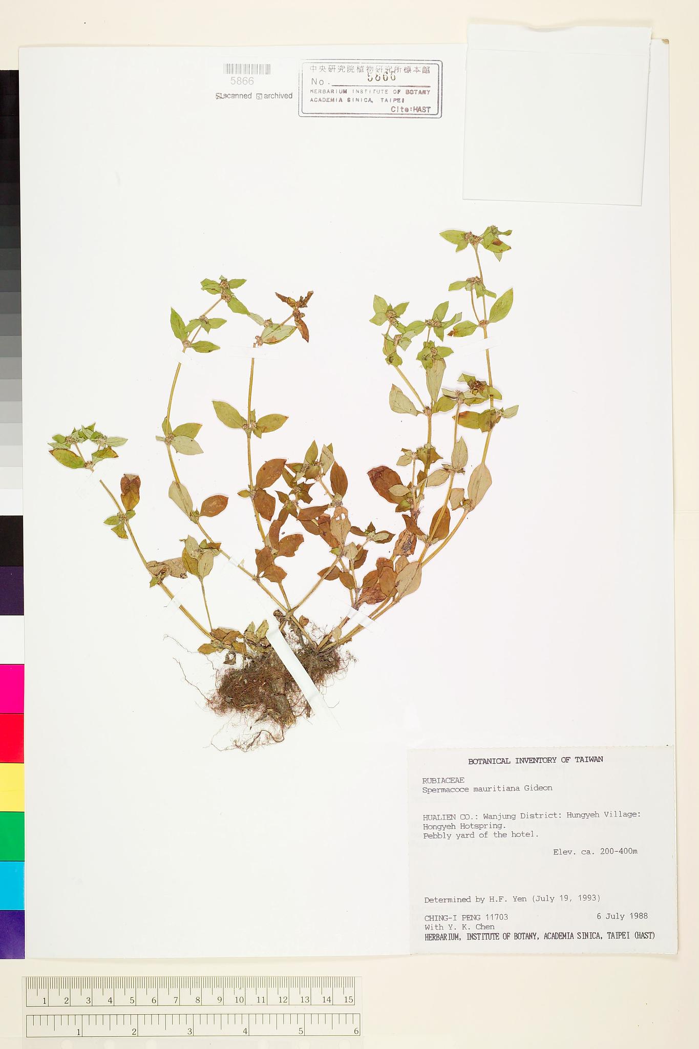 Sample image for viewer