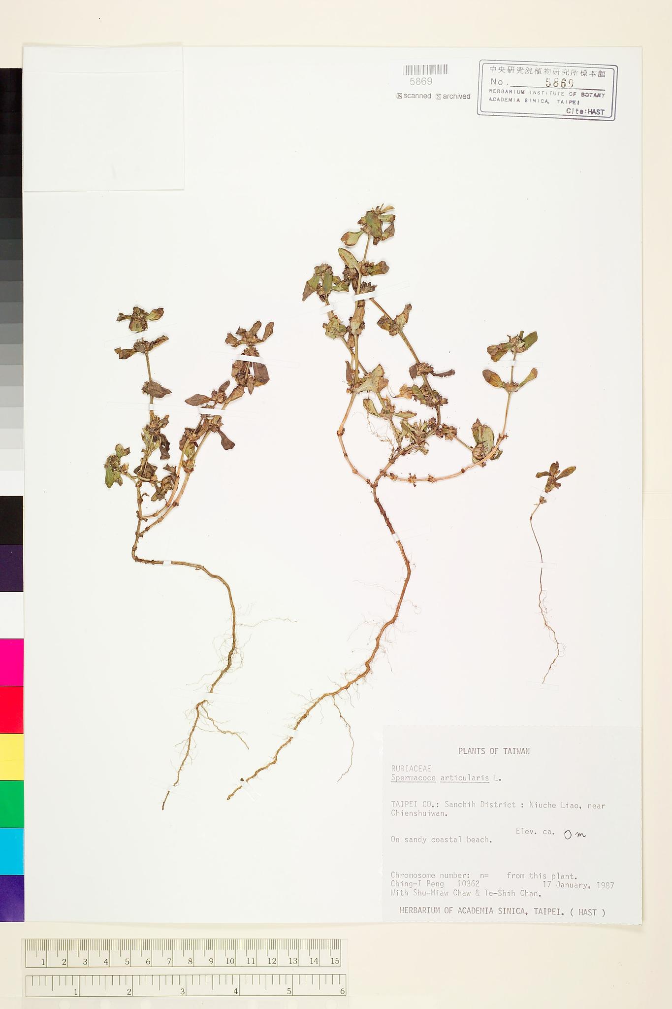 Sample image for viewer