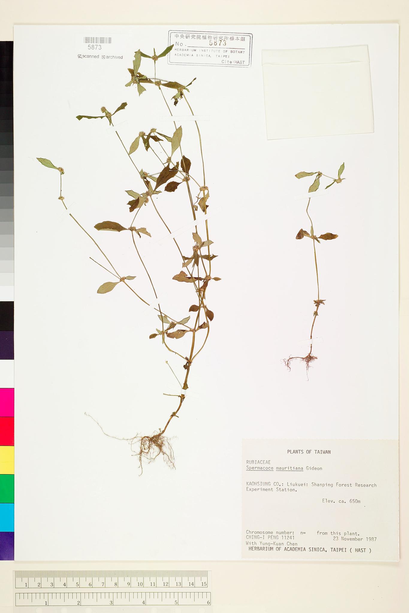 Sample image for viewer