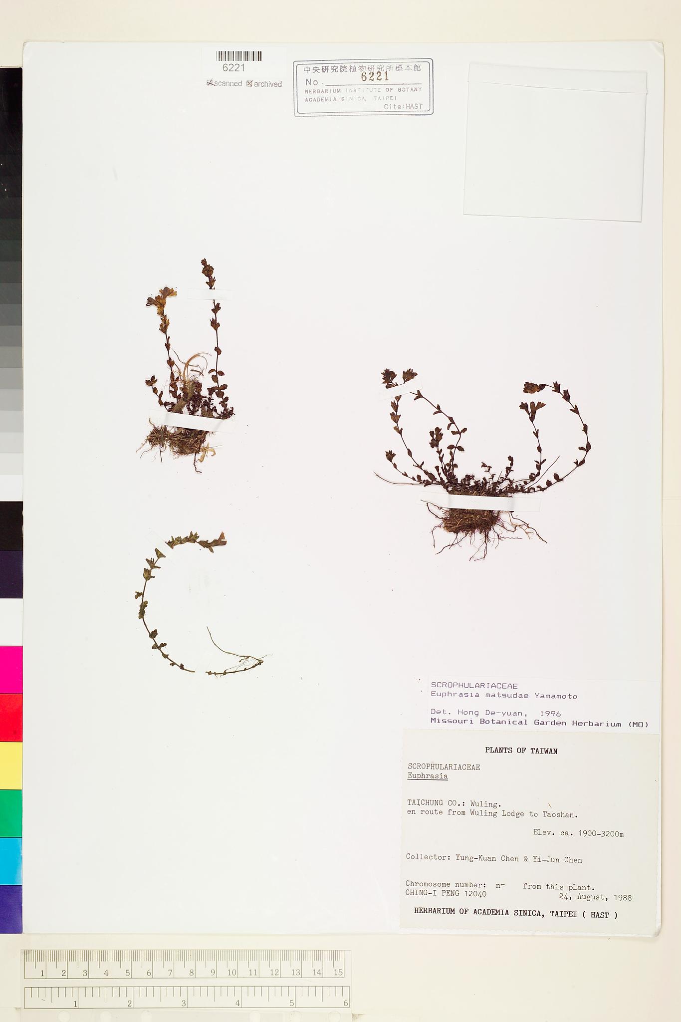 Sample image for viewer