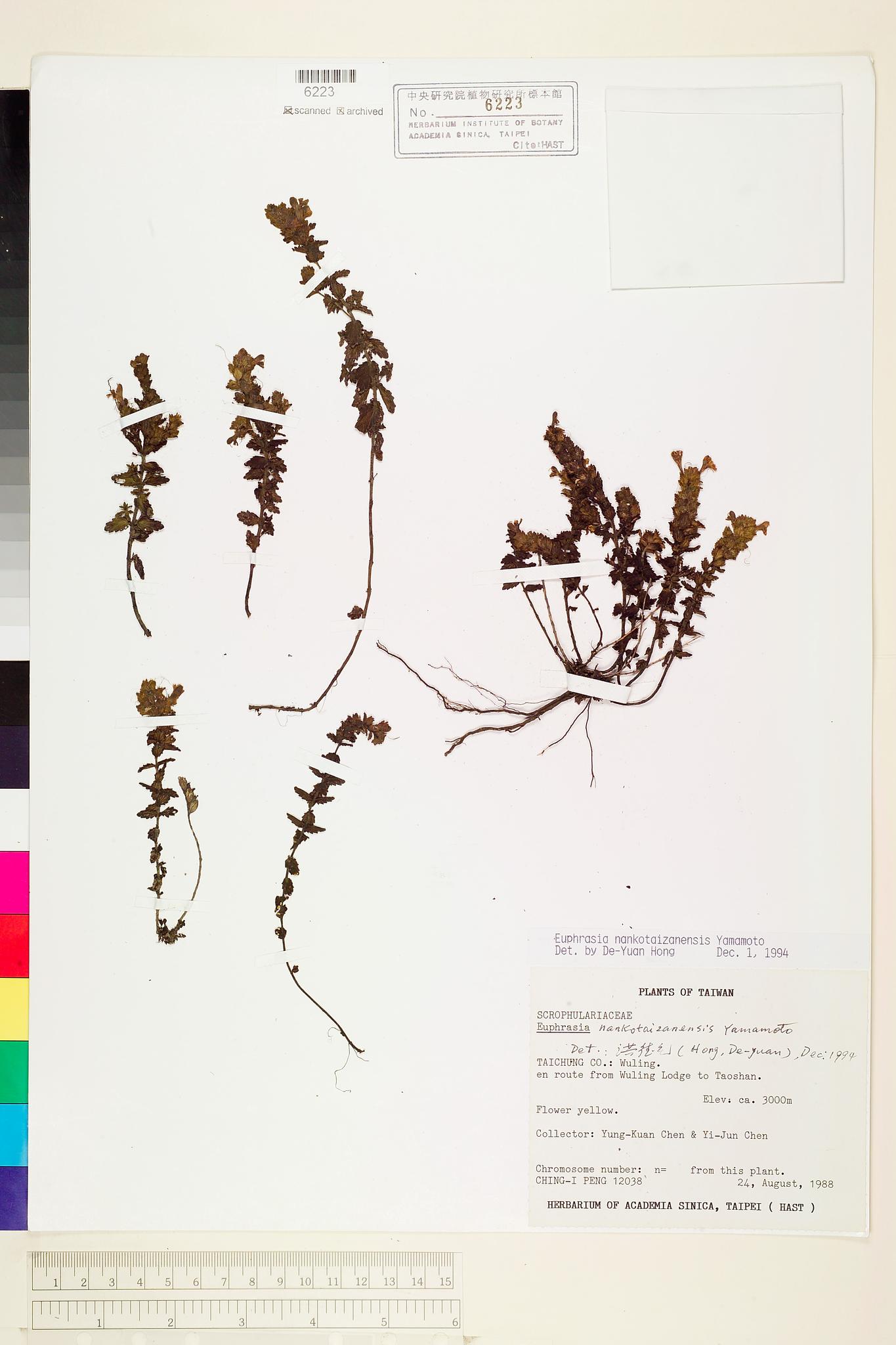 Sample image for viewer