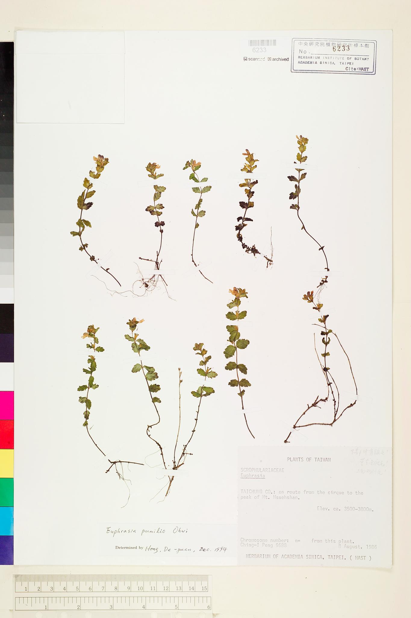 Sample image for viewer