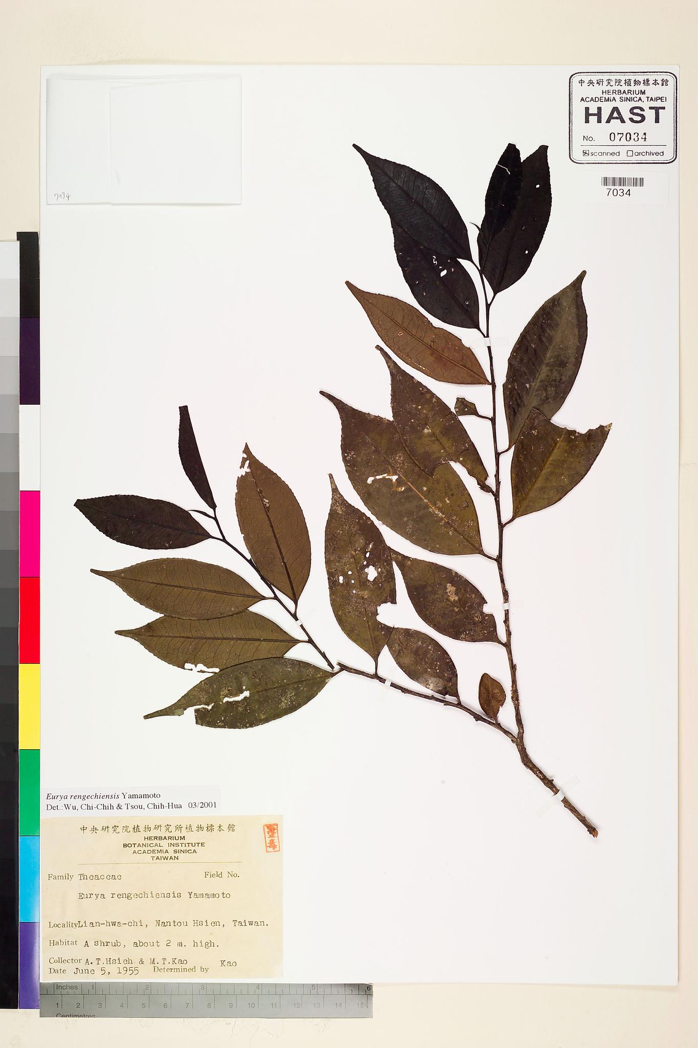 Sample image for viewer