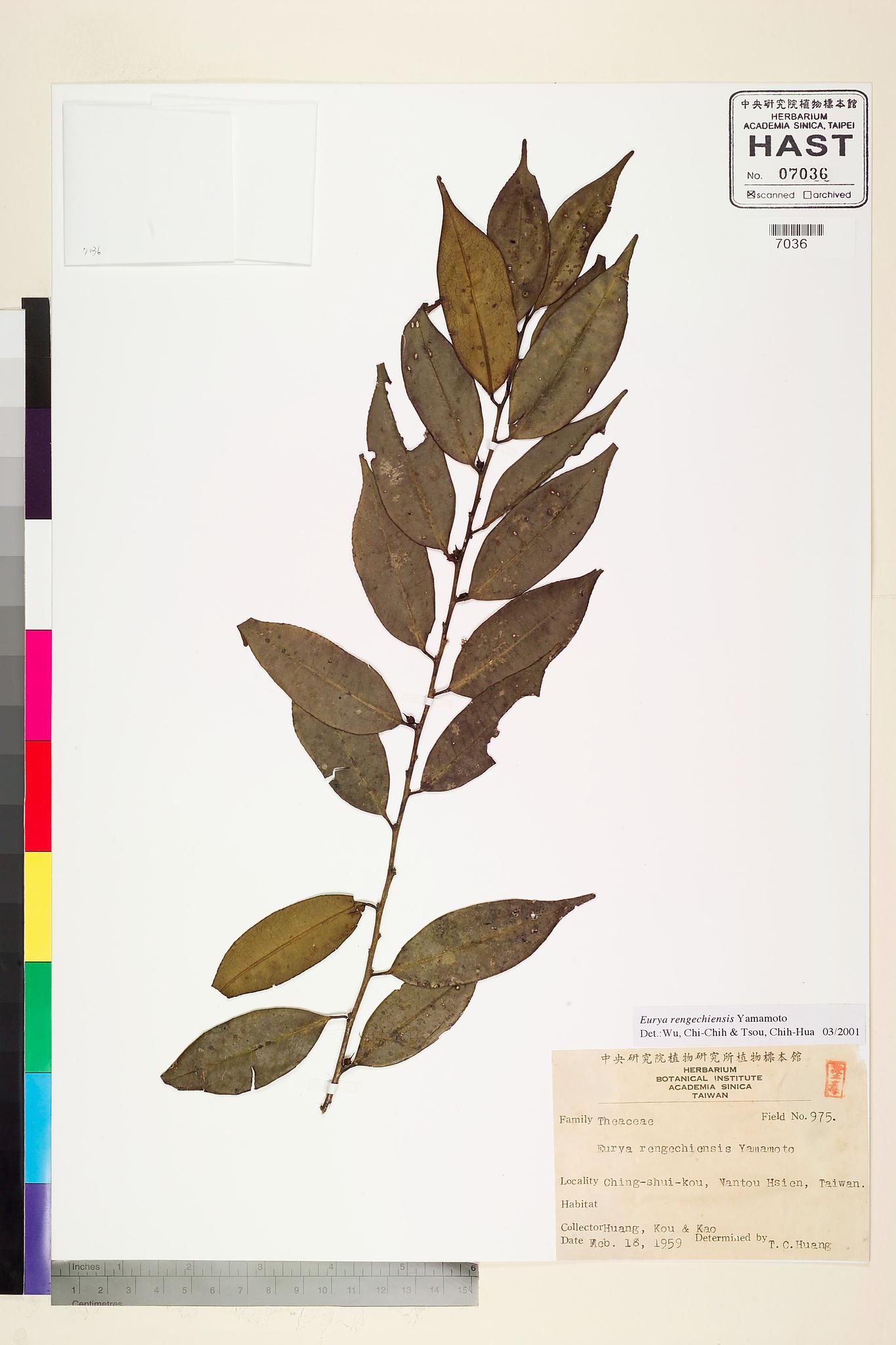 Sample image for viewer