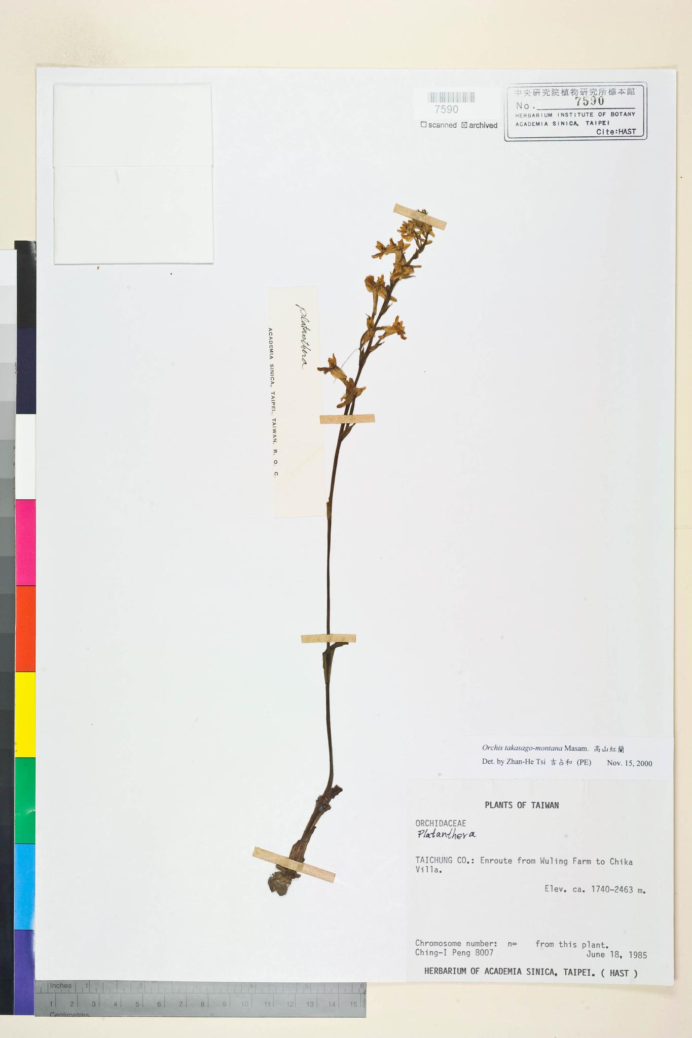 Sample image for viewer