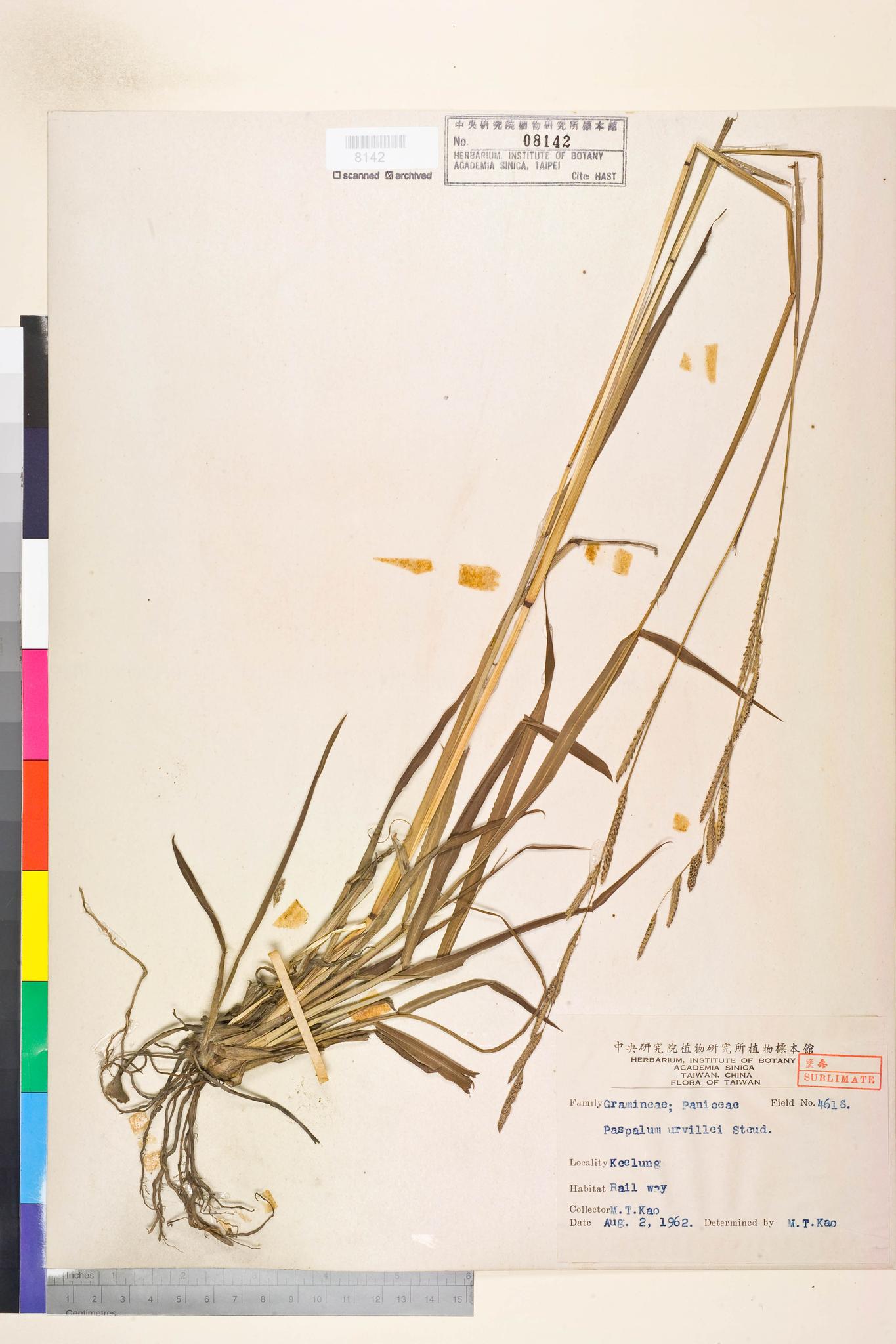 Sample image for viewer