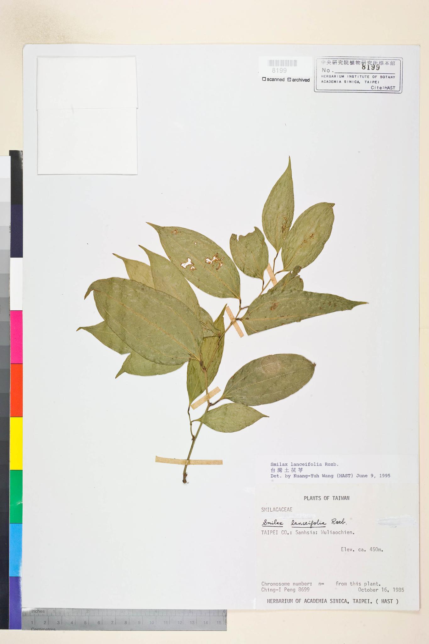 Sample image for viewer