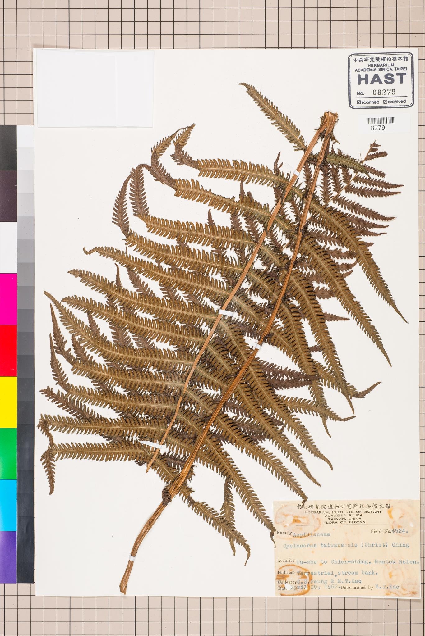 Sample image for viewer