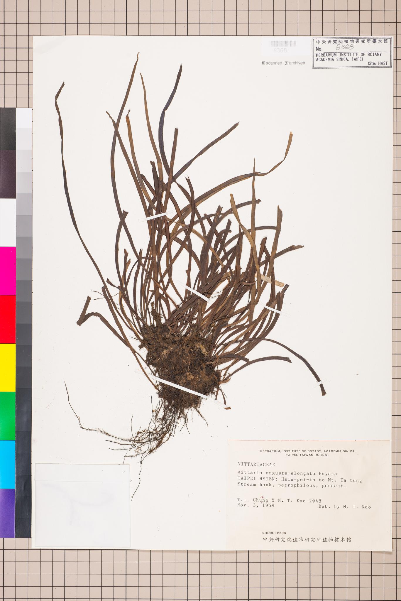 Sample image for viewer