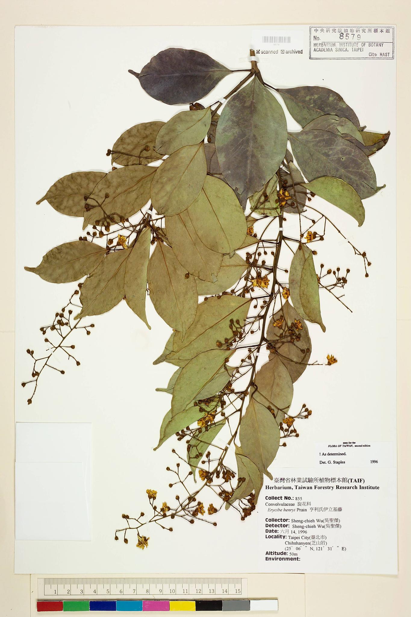 Sample image for viewer