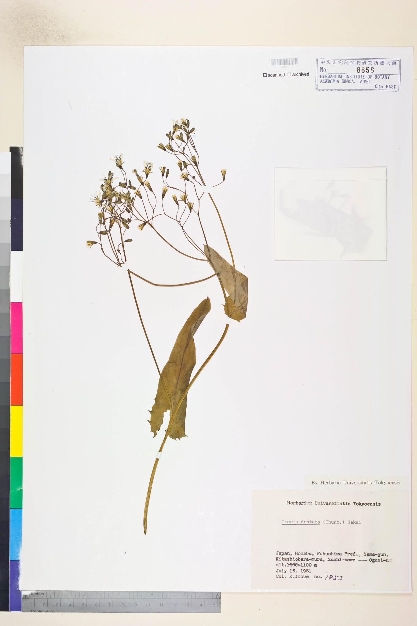 Sample image for viewer