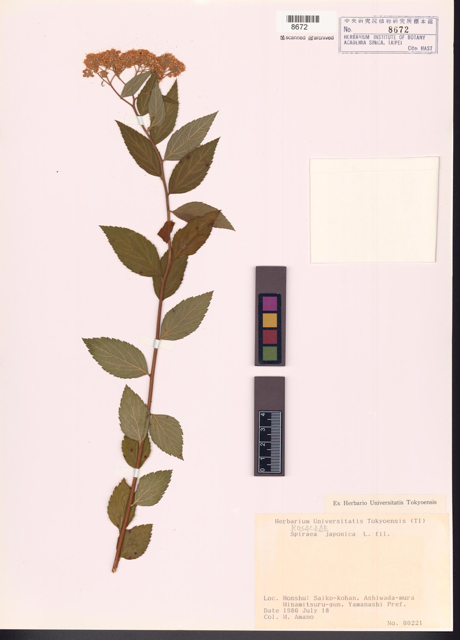 Sample image for viewer