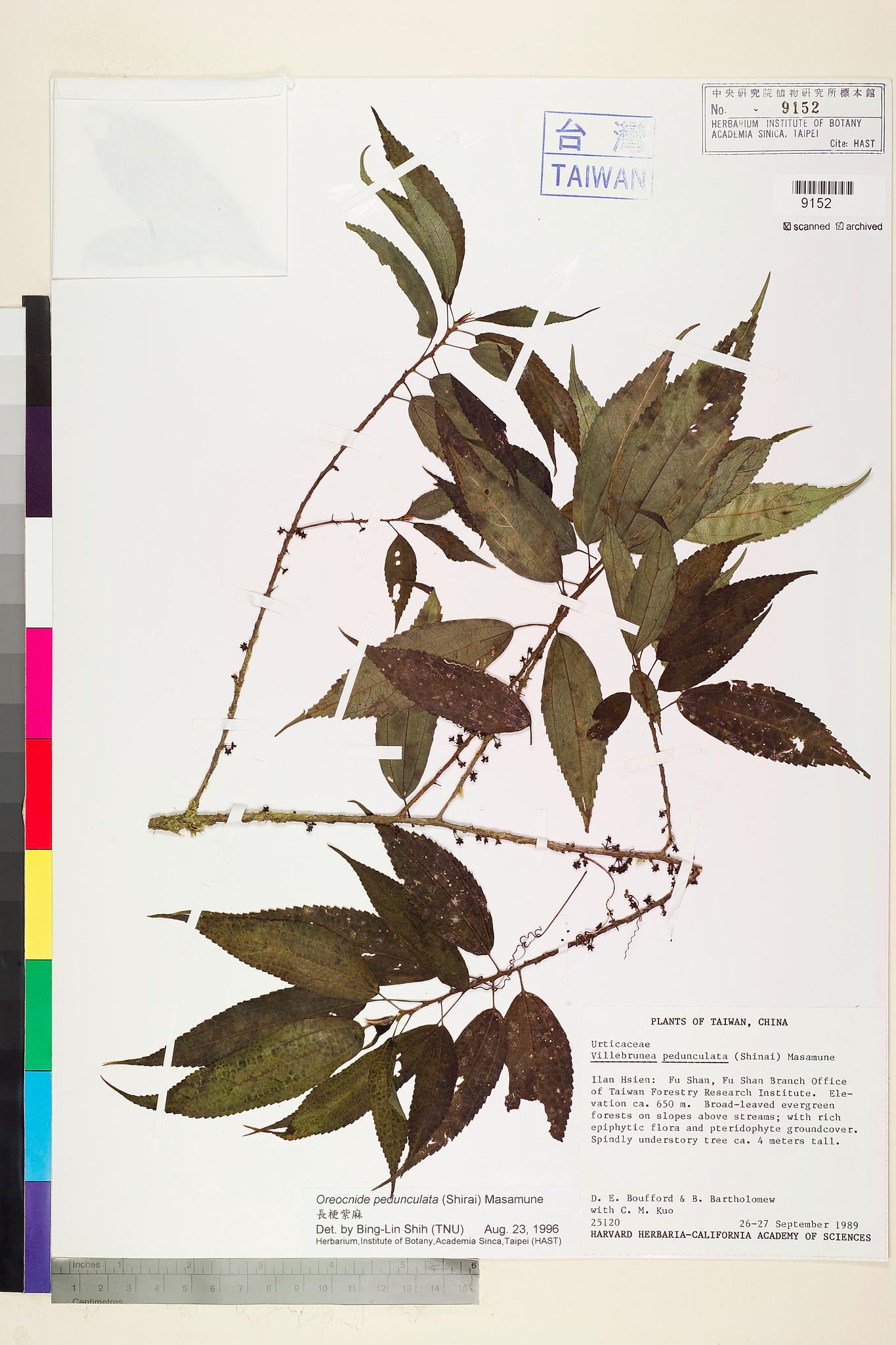 Sample image for viewer