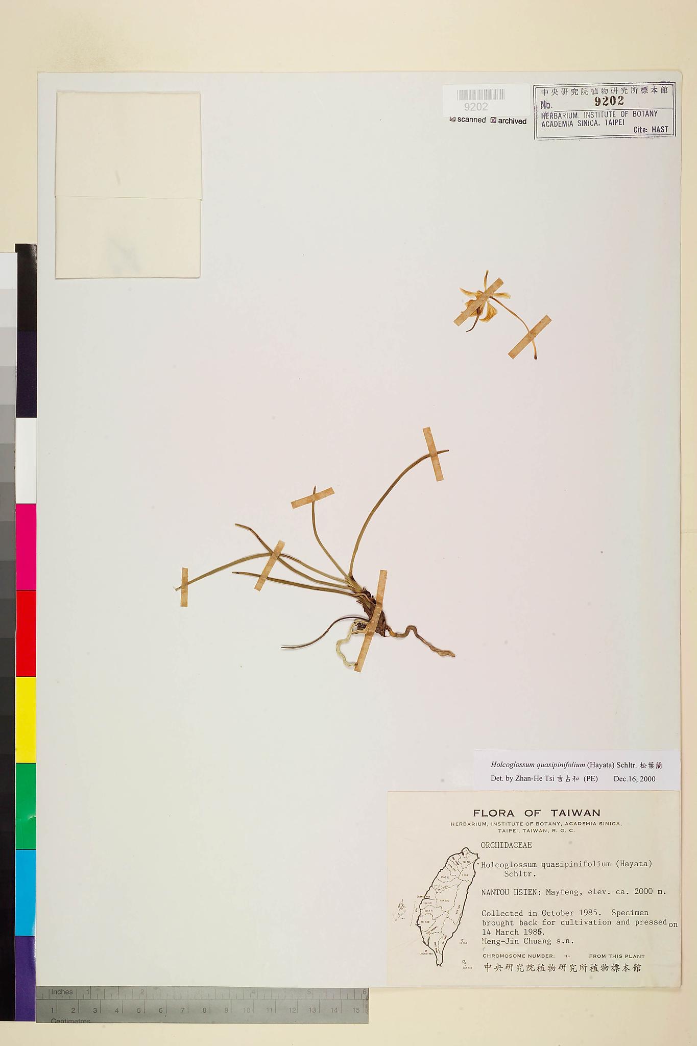 Sample image for viewer