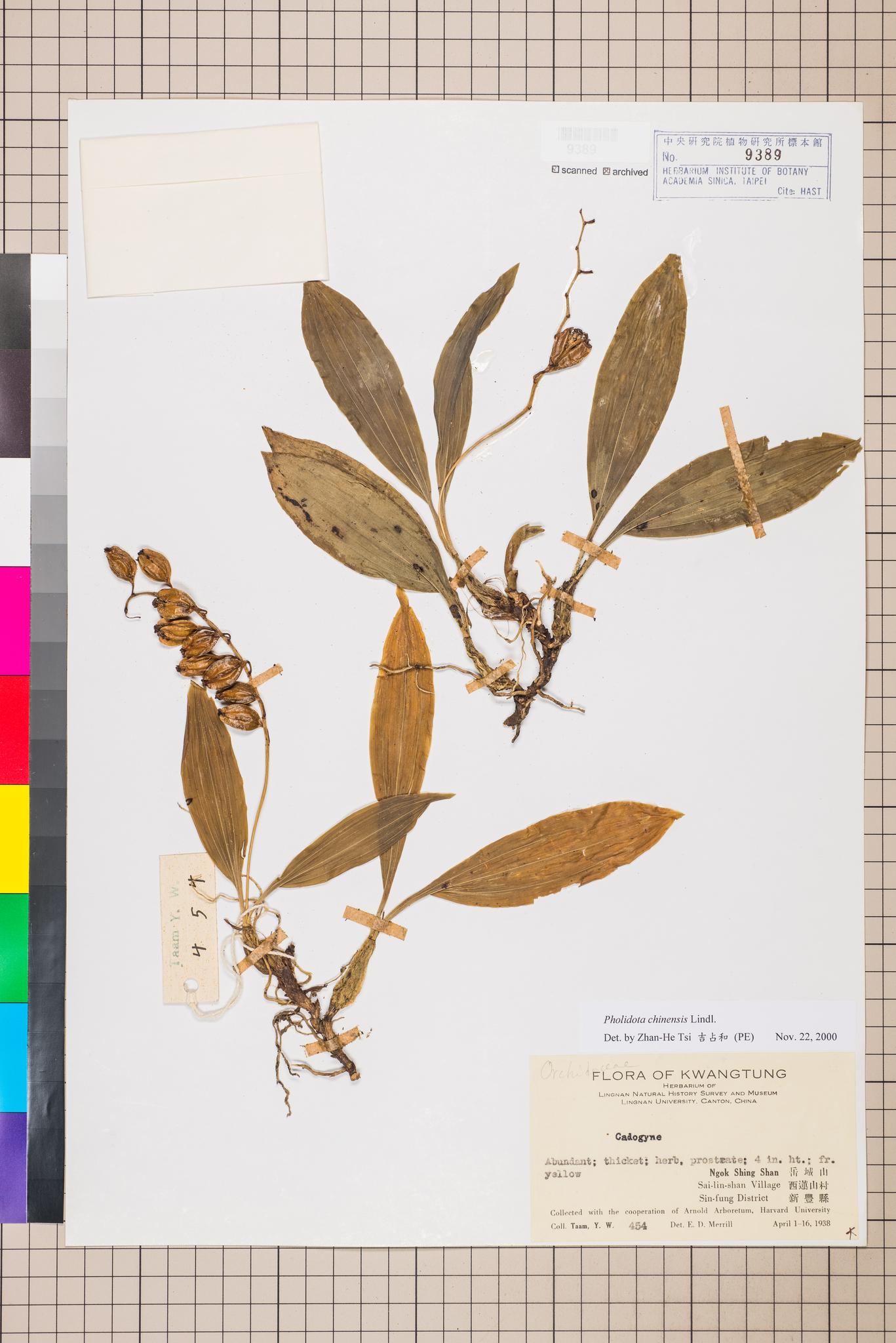 Sample image for viewer