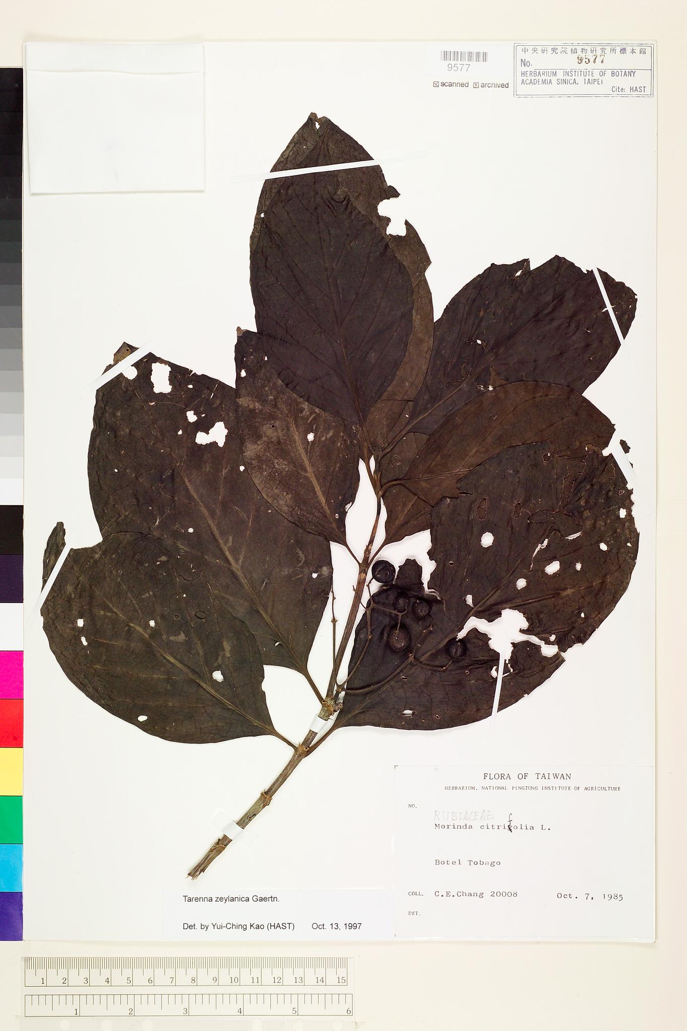 Sample image for viewer