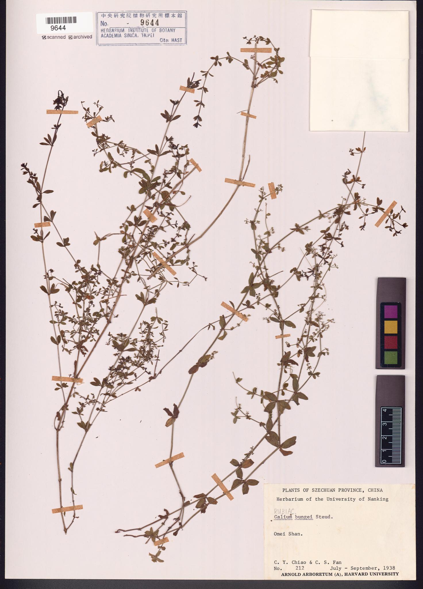 Sample image for viewer