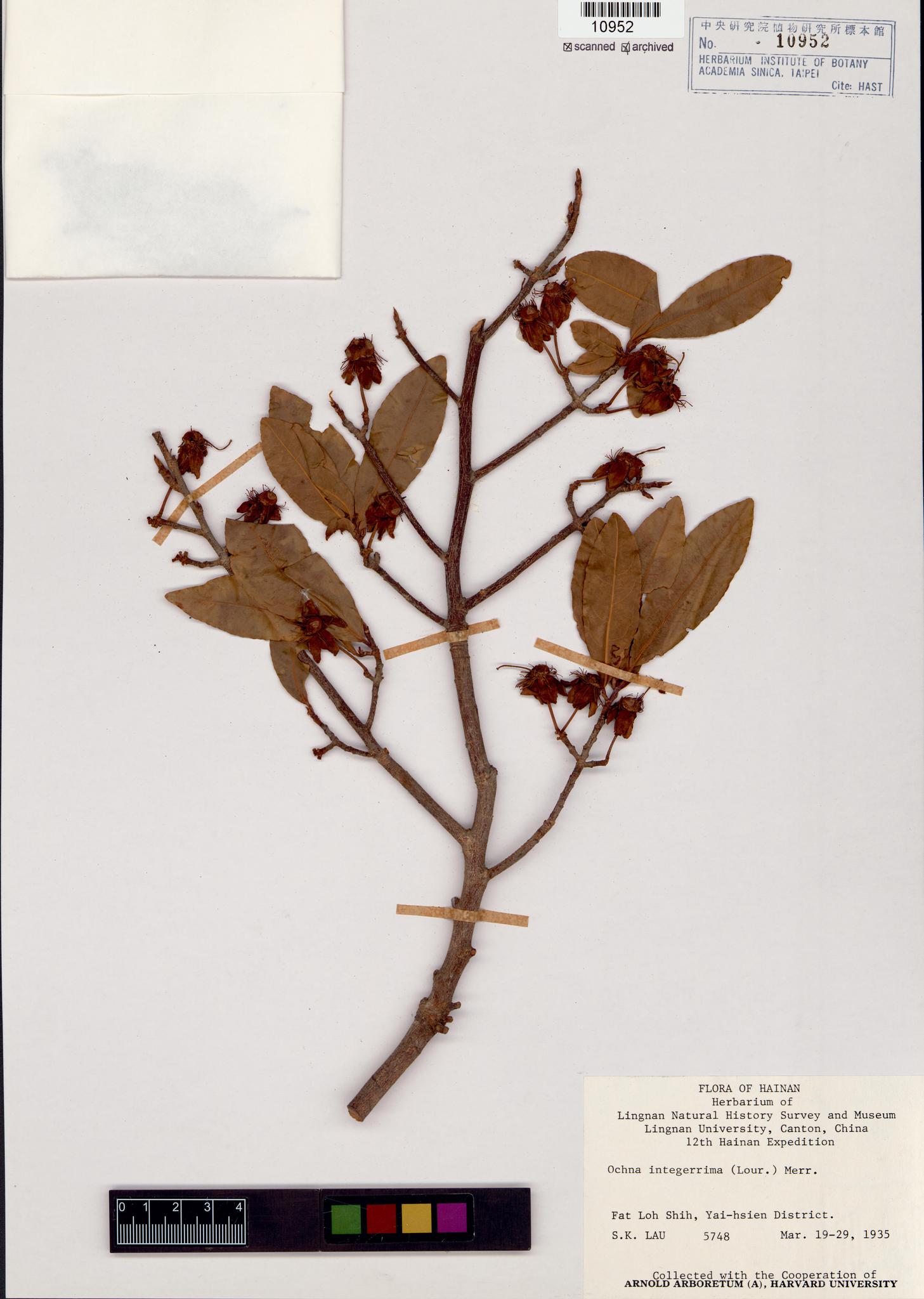 Sample image for viewer