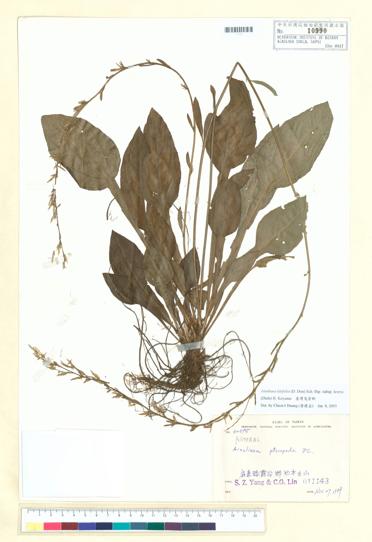 Sample image for viewer