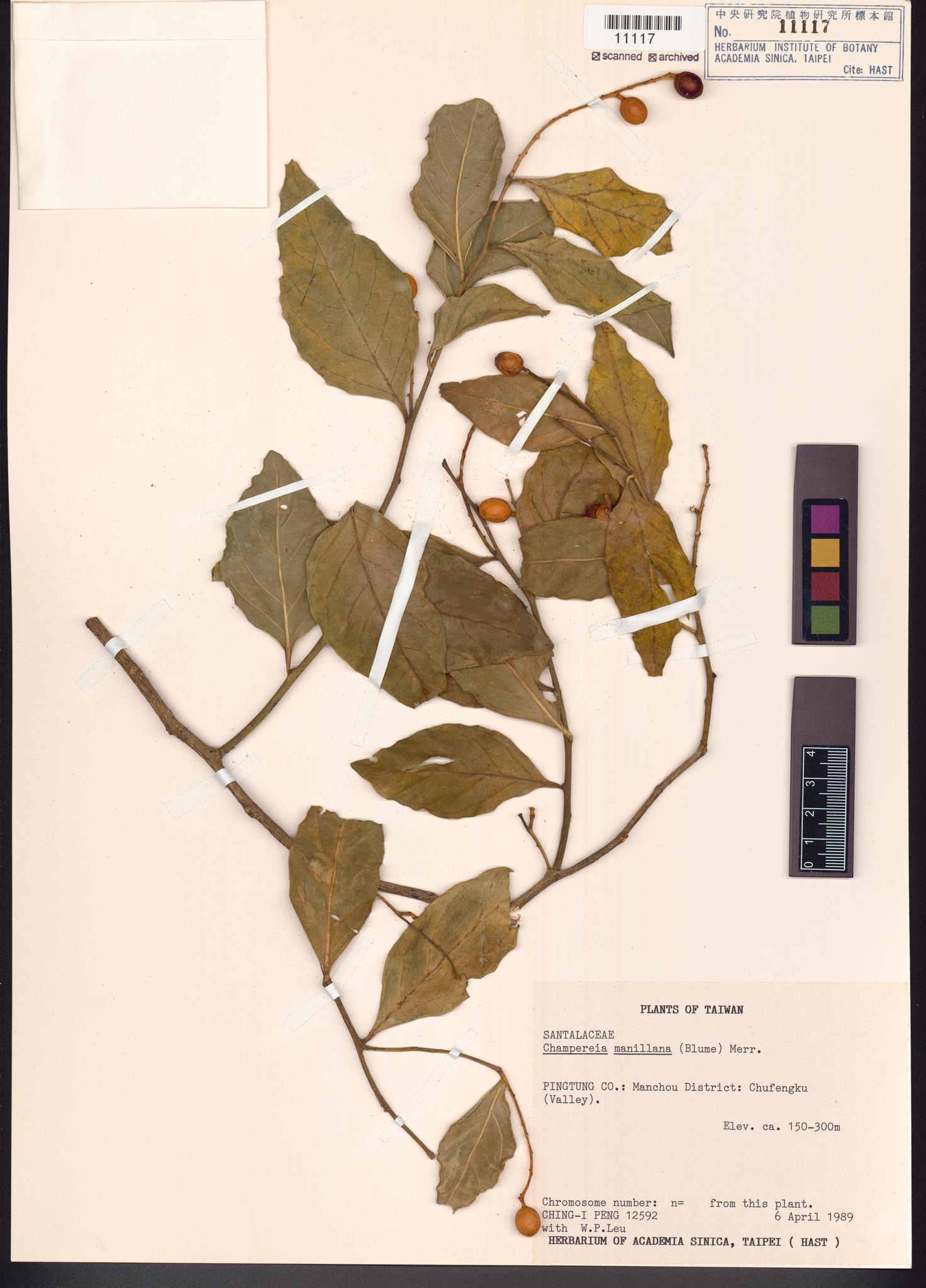 Sample image for viewer