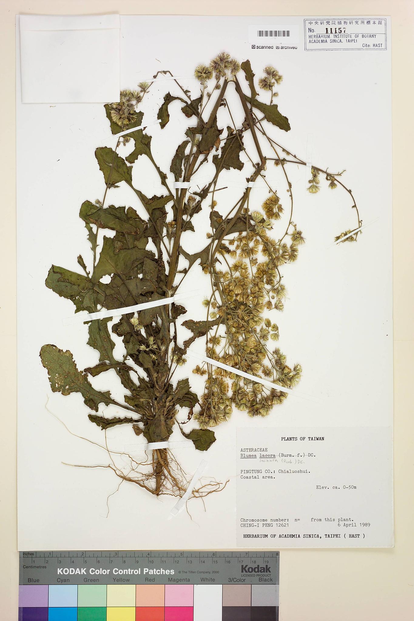 Sample image for viewer