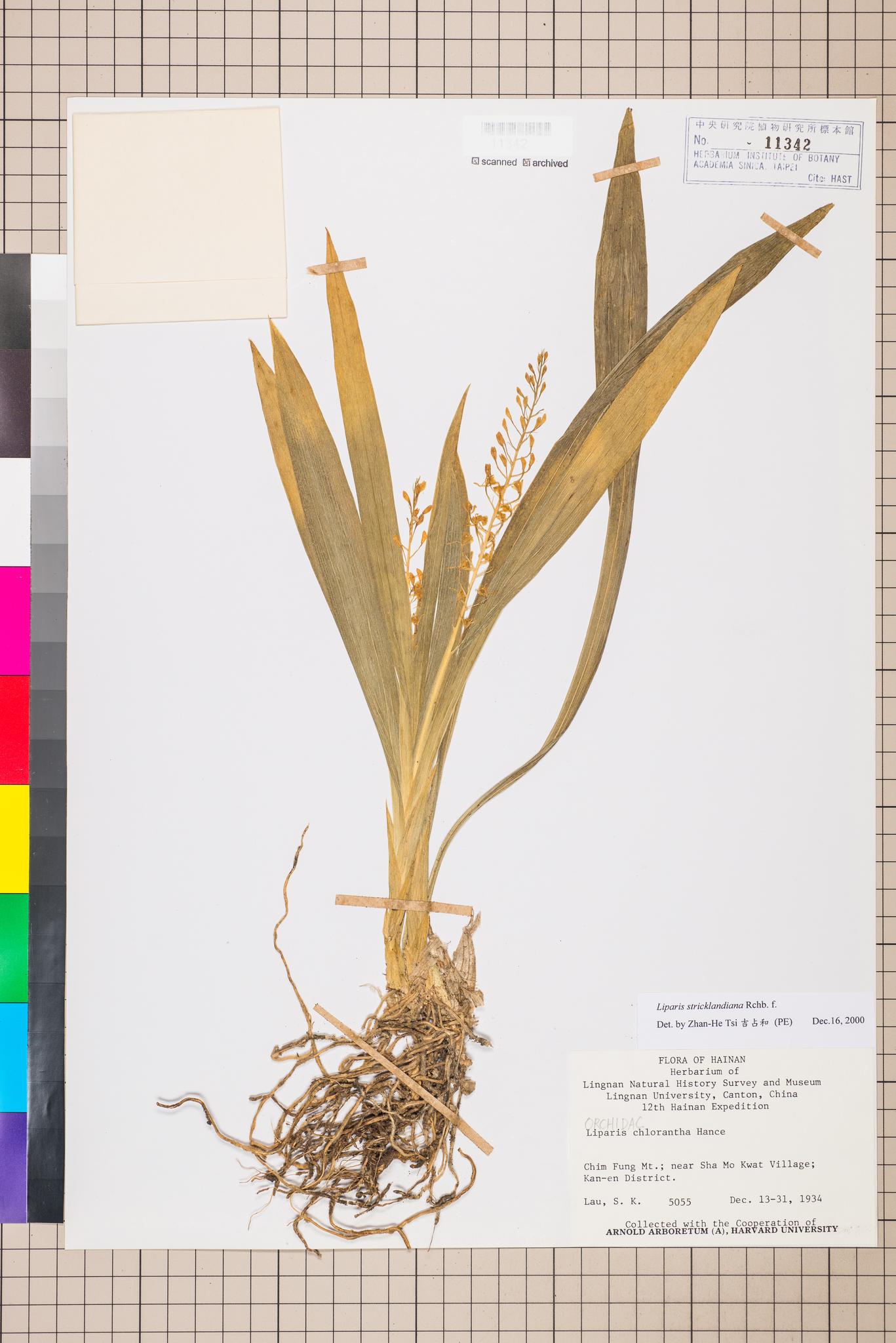 Sample image for viewer