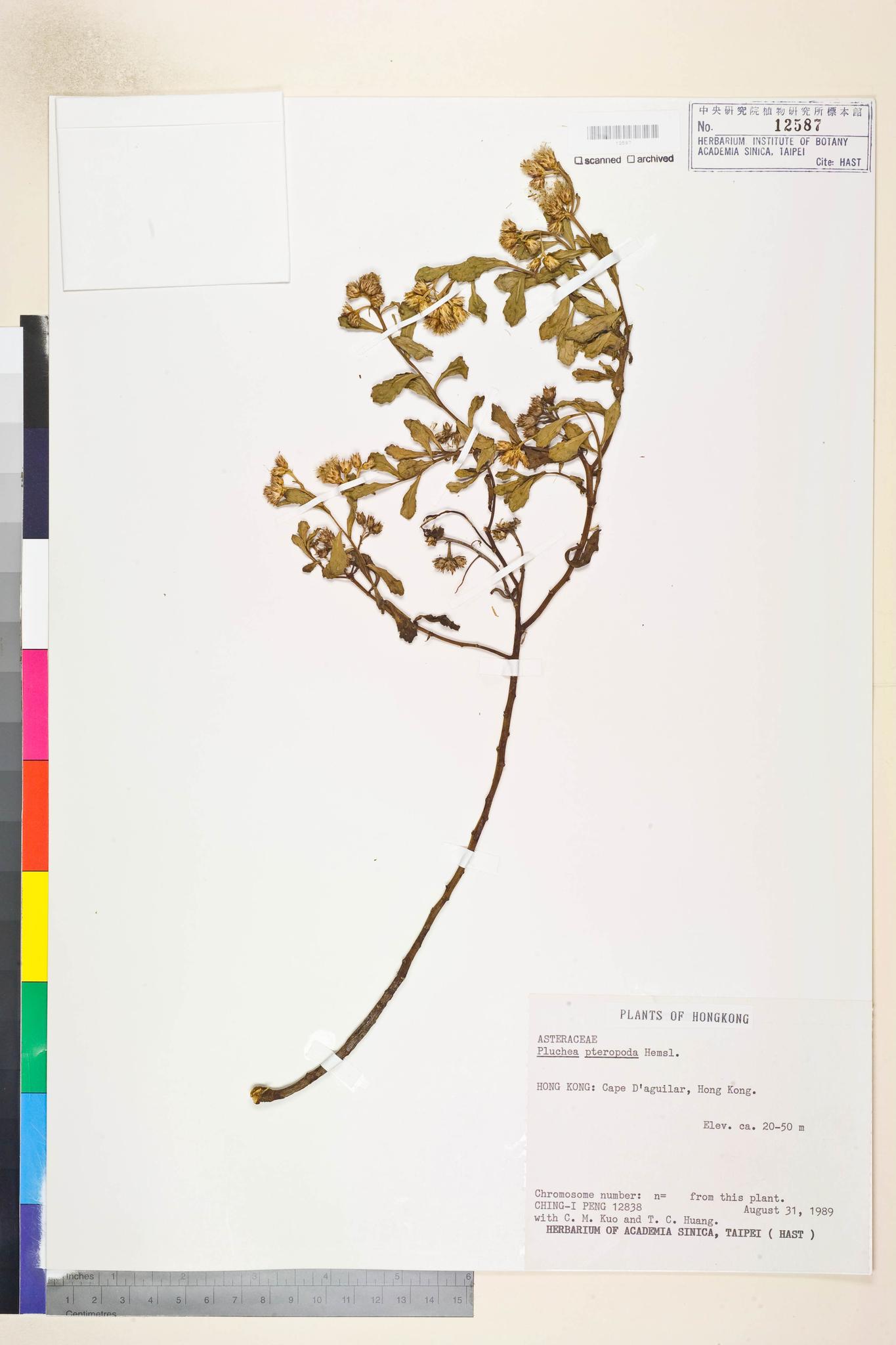 Specimen image