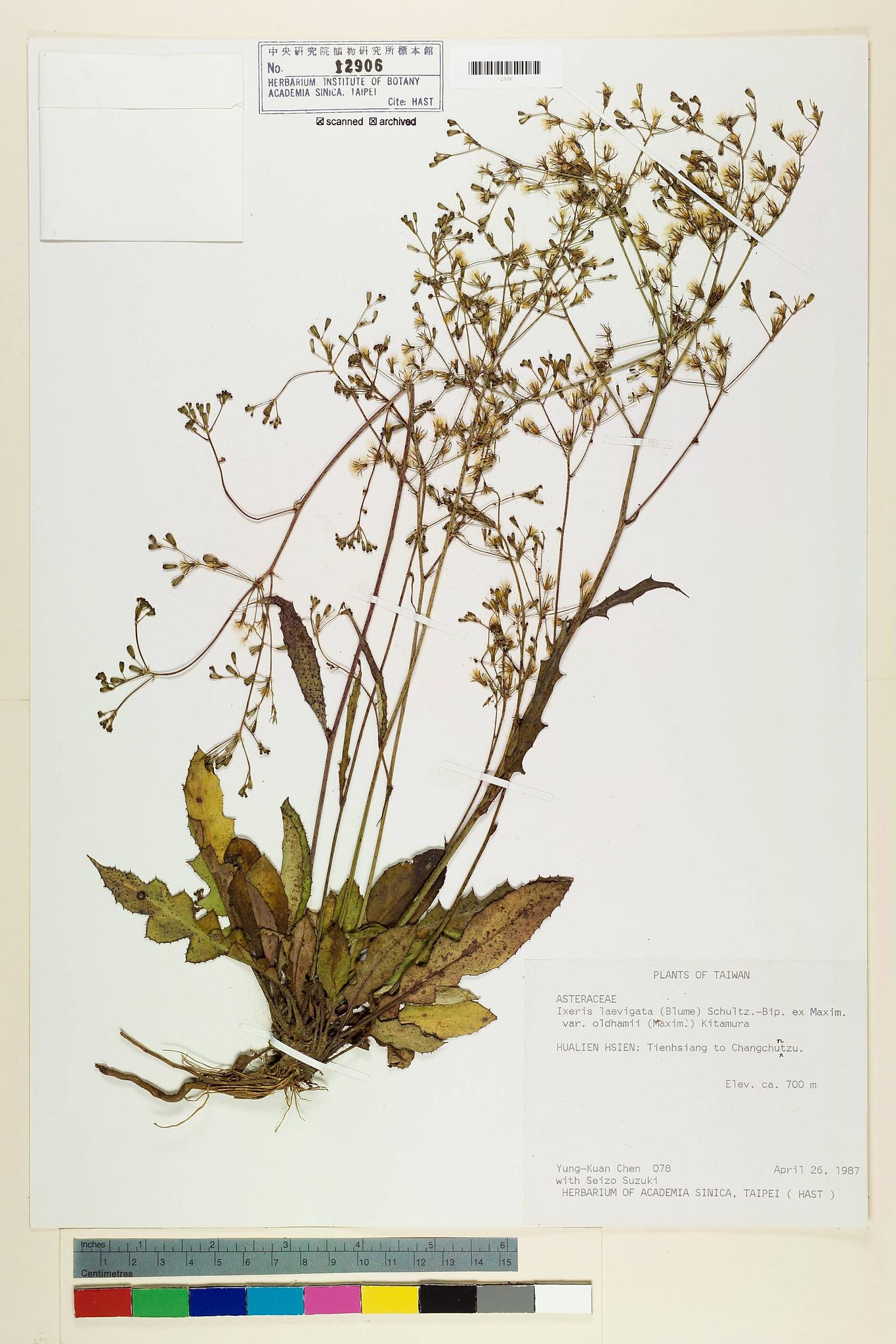 Specimen image