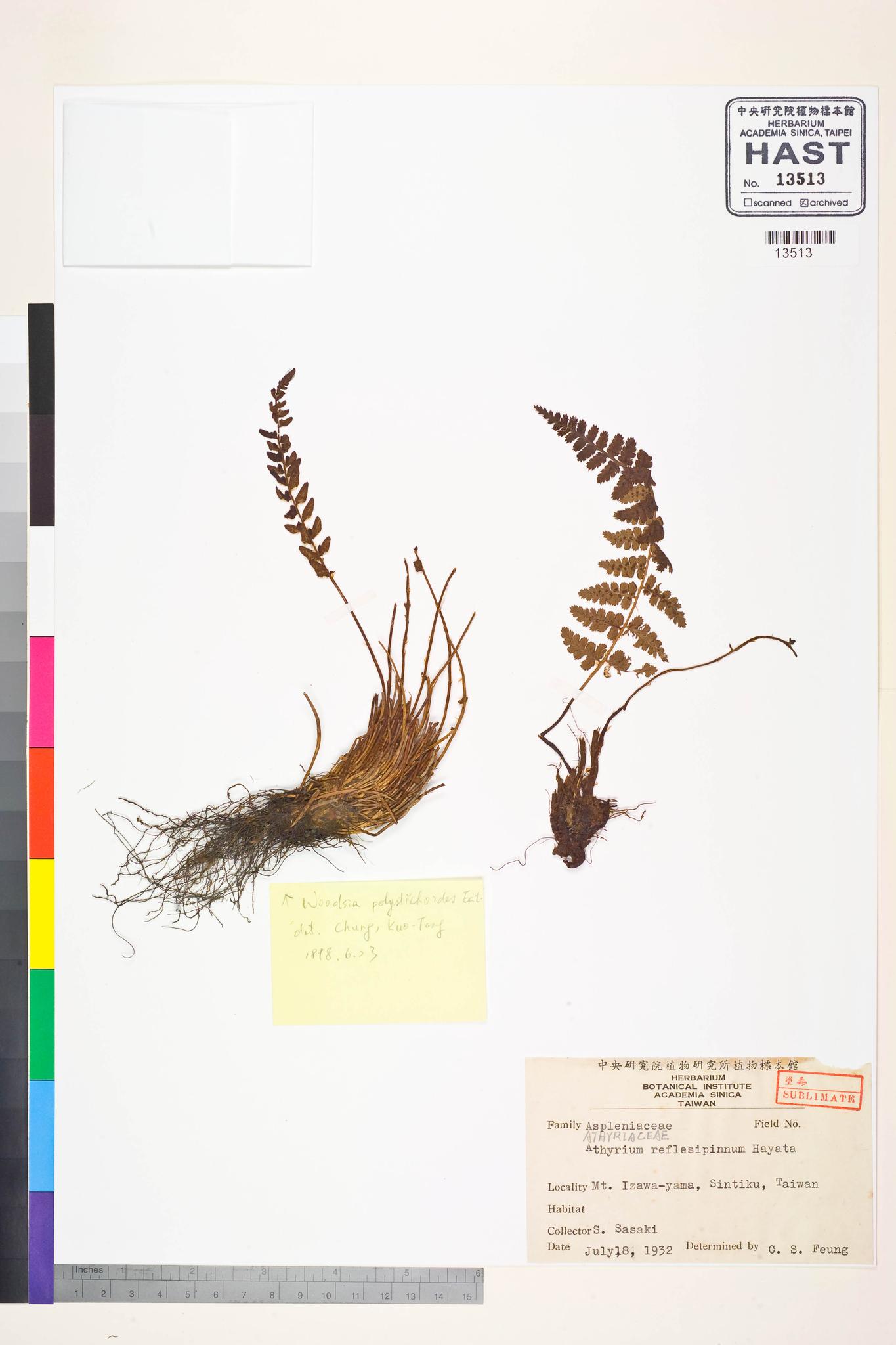 Sample image for viewer