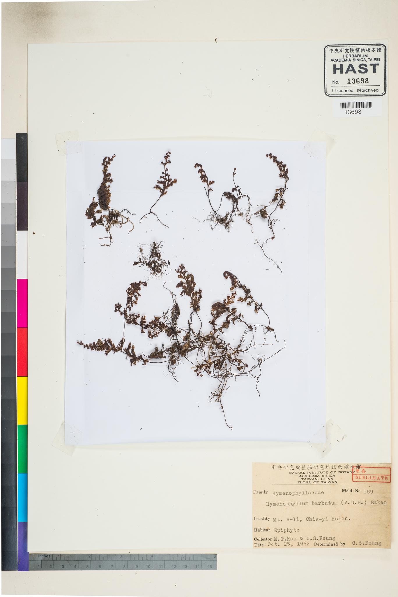 Sample image for viewer